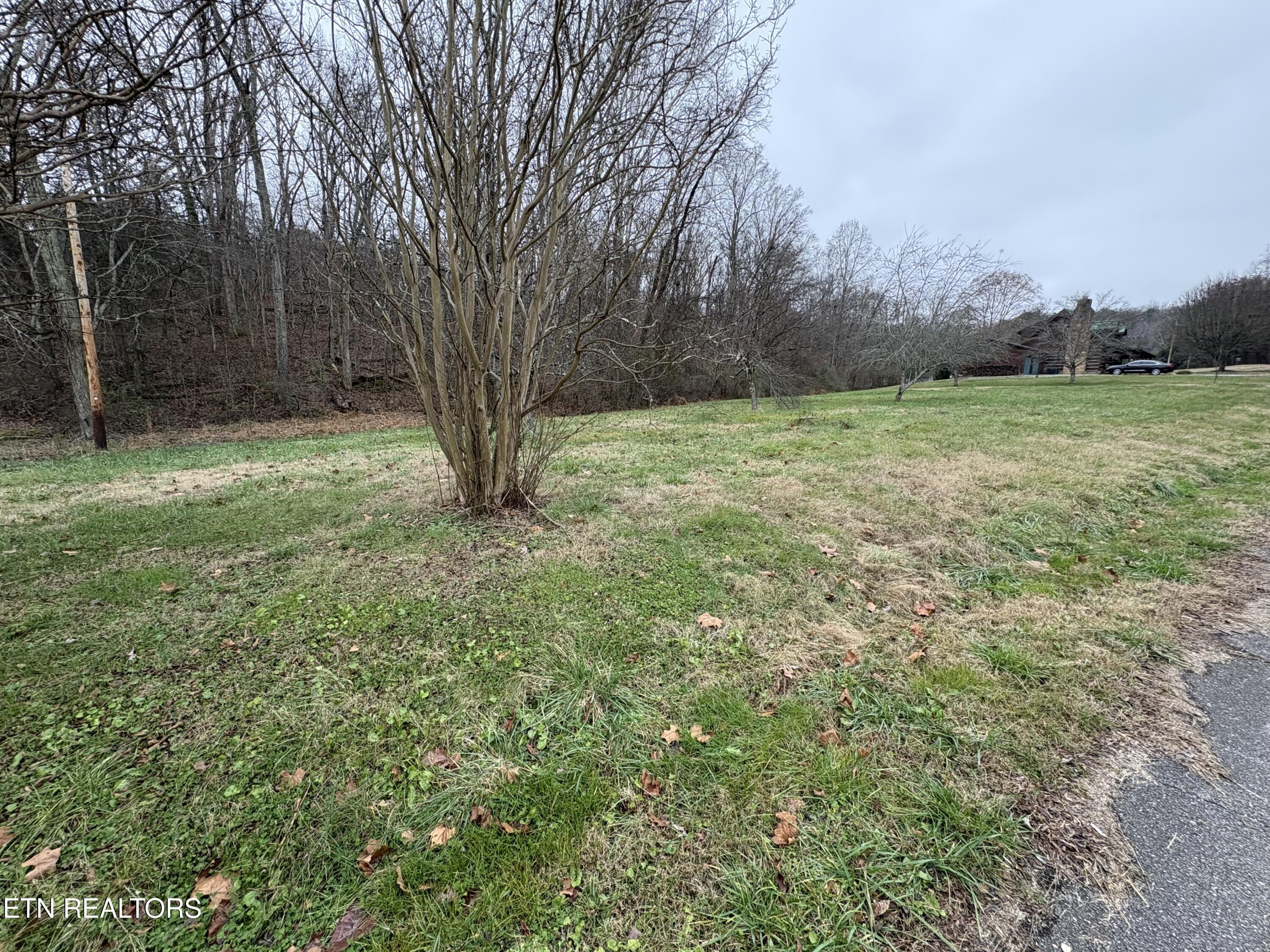 0 Old Buck Creek Road Kingston TN 37763
