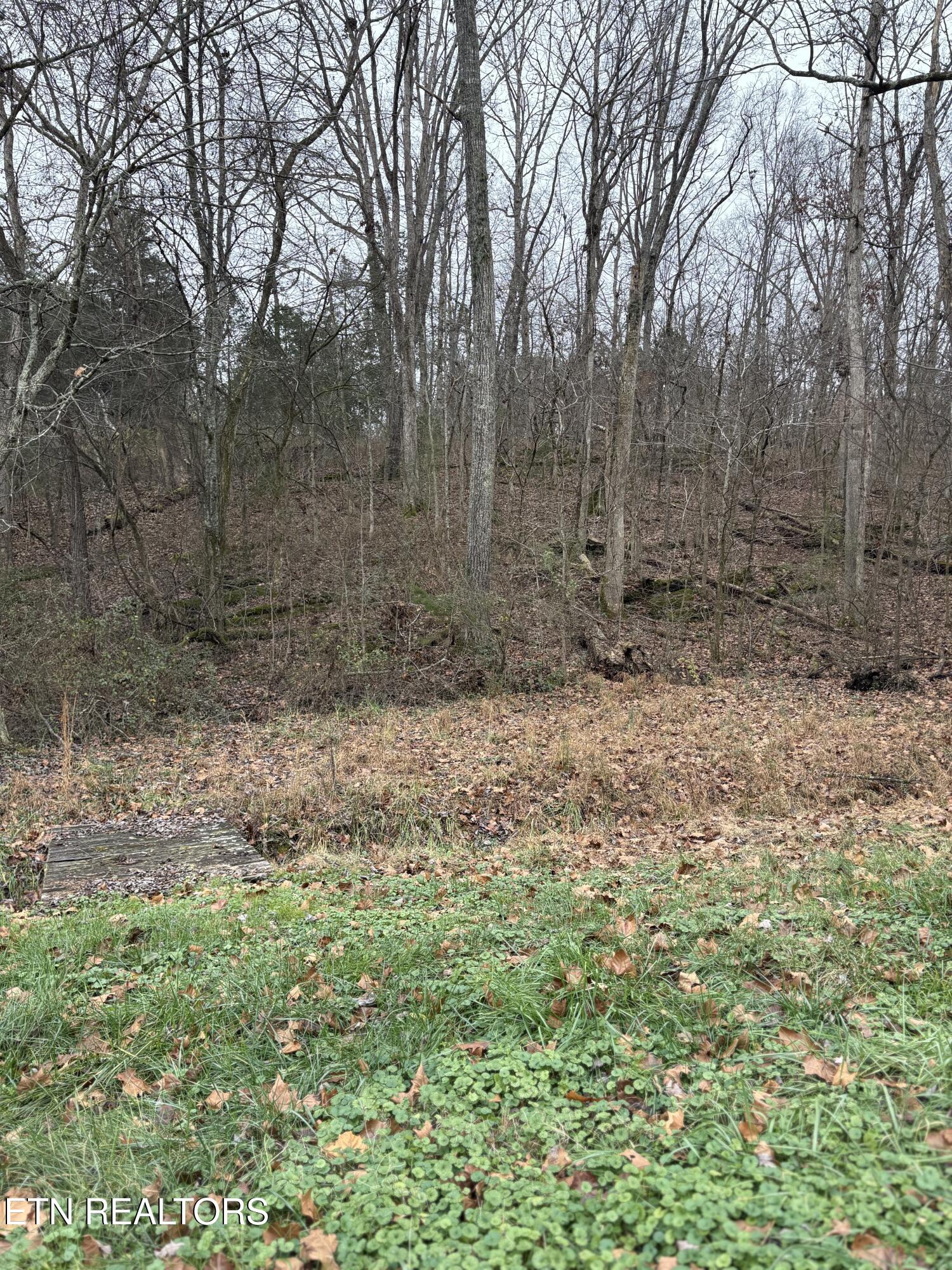0 Old Buck Creek Road Kingston TN 37763