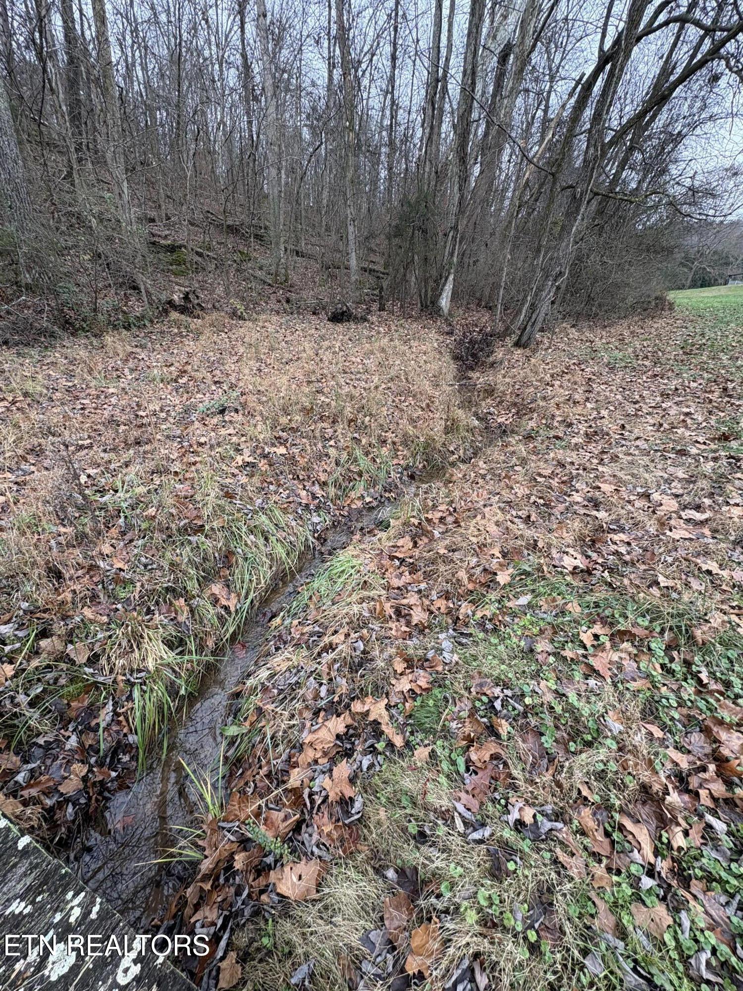 0 Old Buck Creek Road Kingston TN 37763
