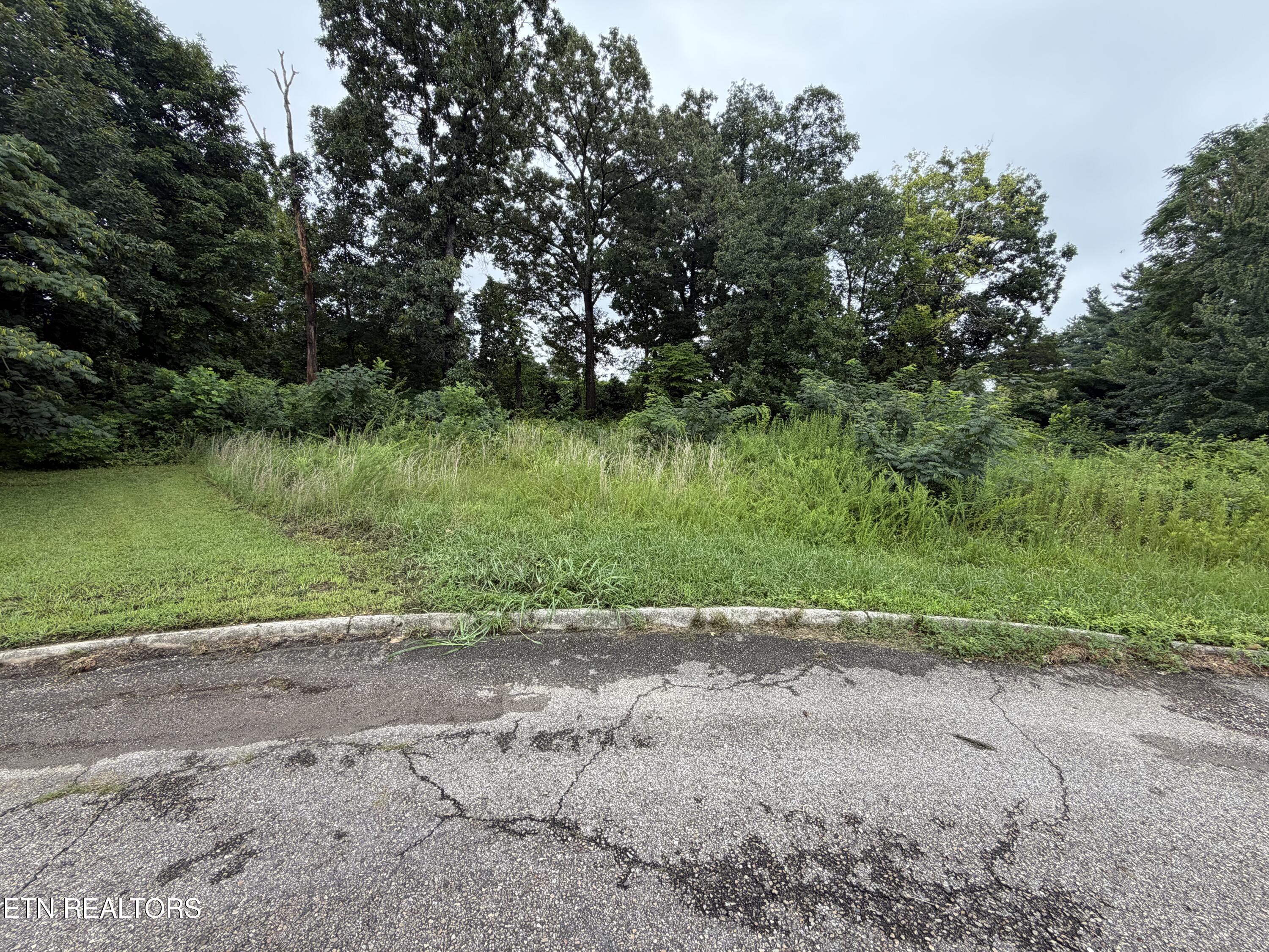 4704 Tomache Drive Knoxville TN 37909