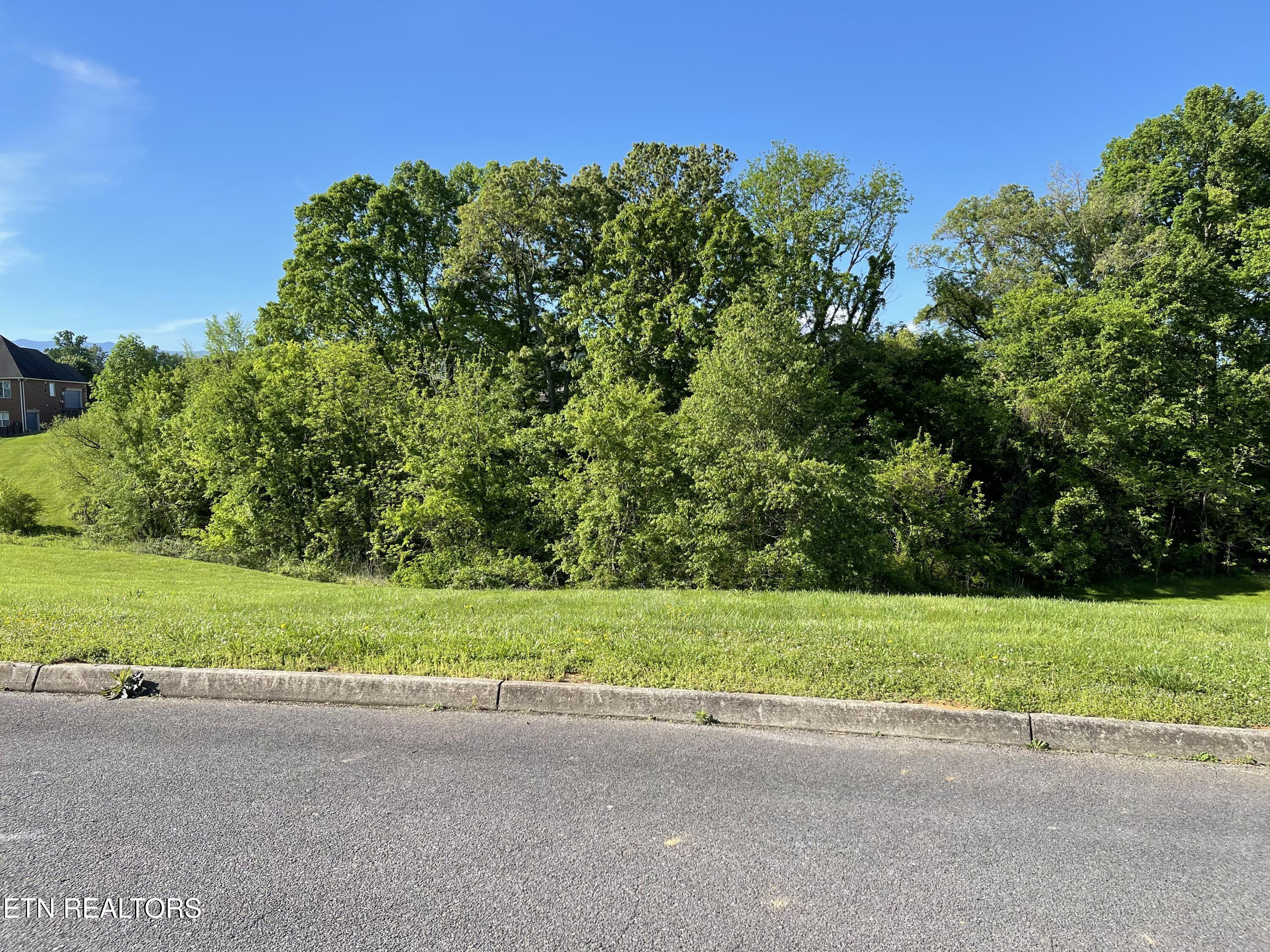 Alum Cave Cove Sevierville TN 37862
