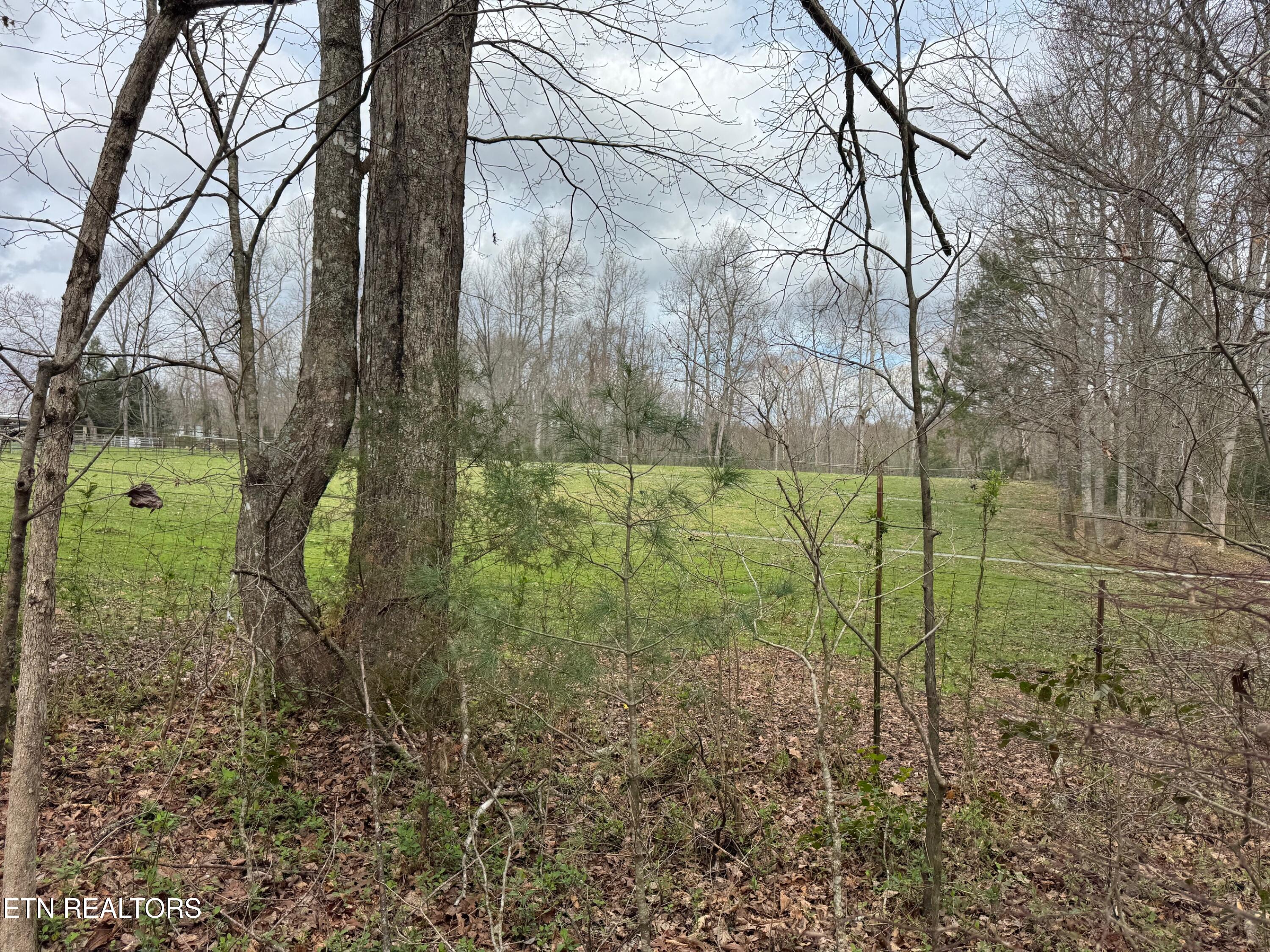 Honey Creek Loop Road Allardt TN 38504