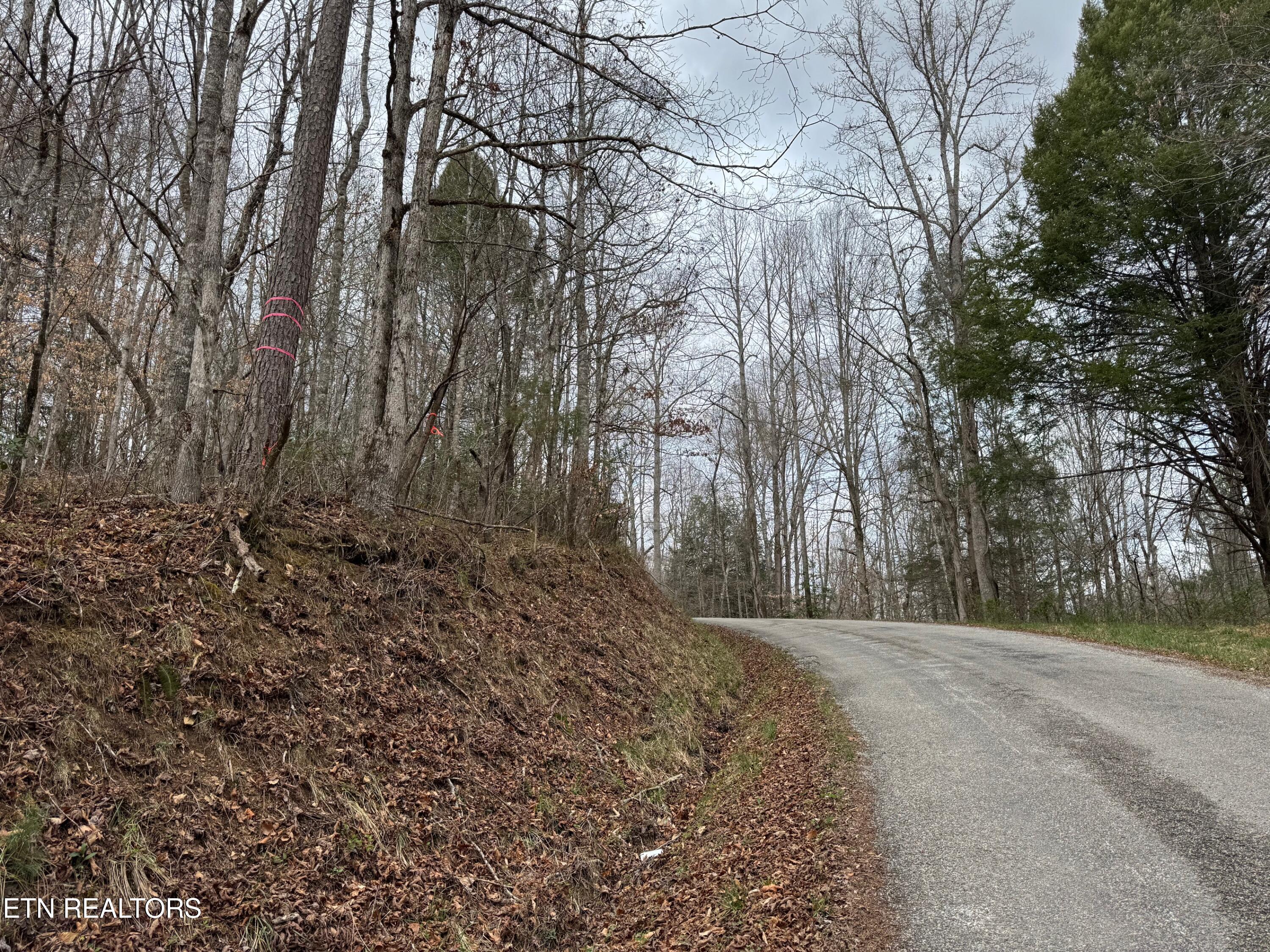Honey Creek Loop Road Allardt TN 38504
