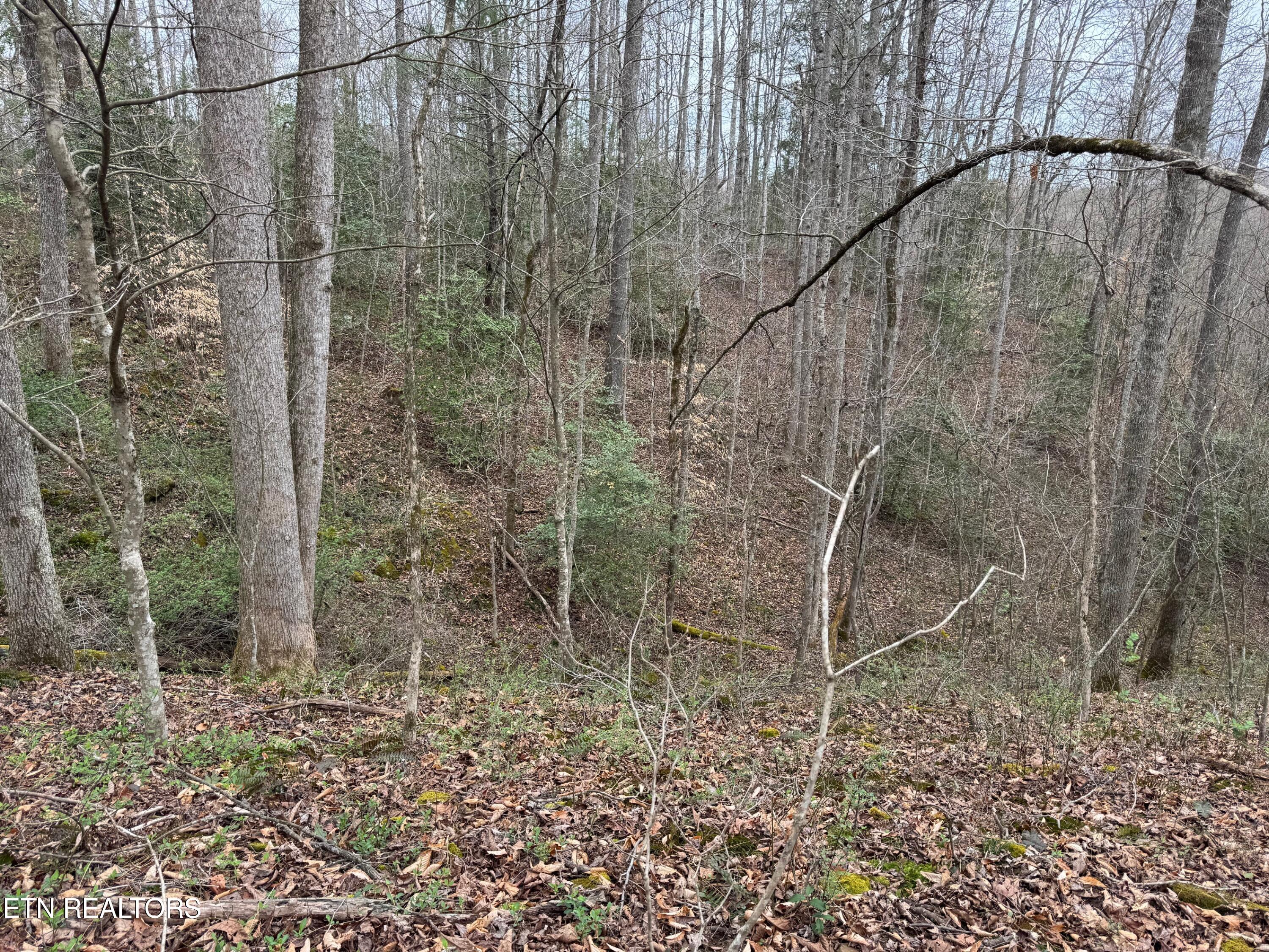 Honey Creek Loop Road Allardt TN 38504
