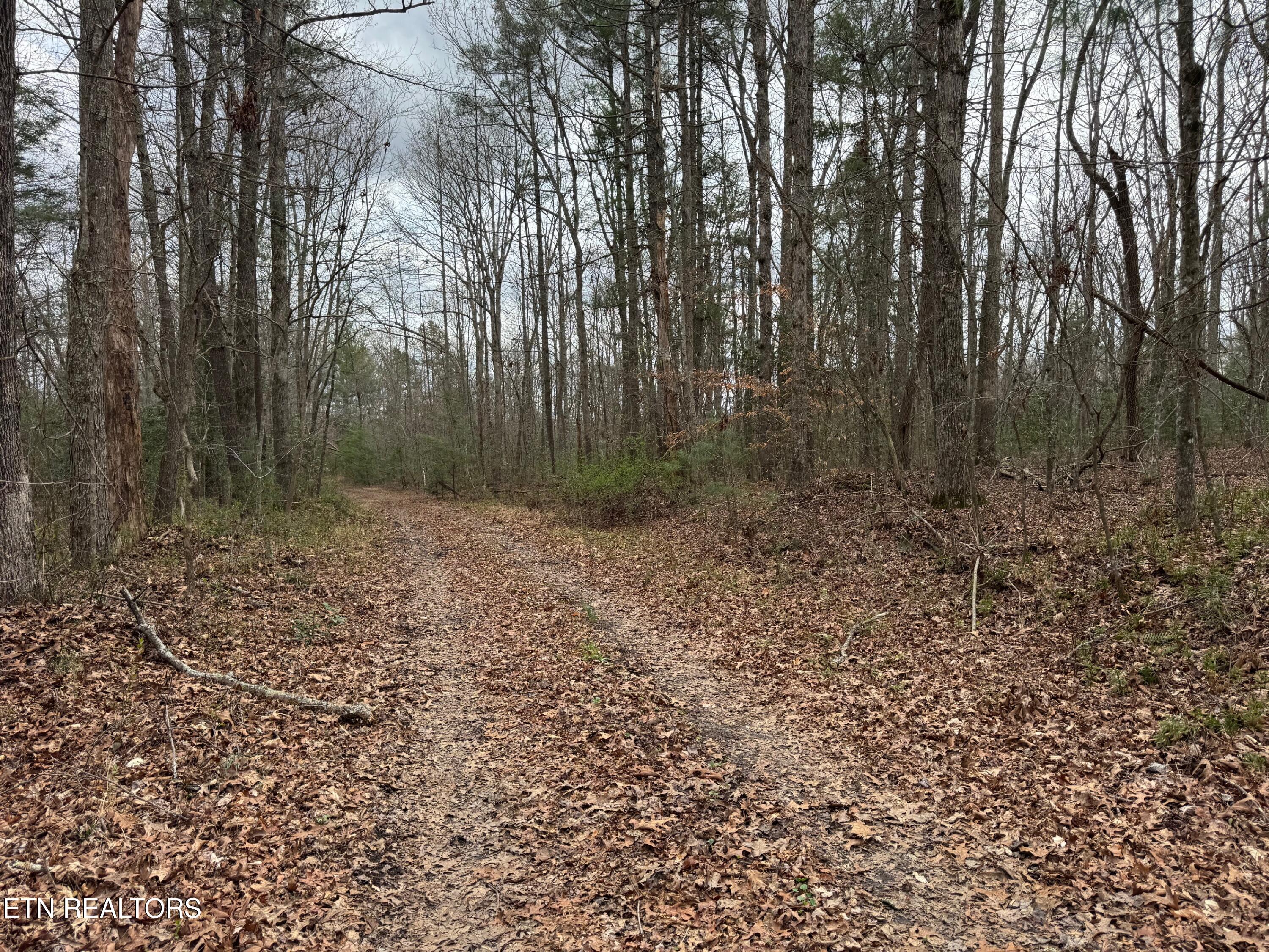 Honey Creek Loop Road Allardt TN 38504