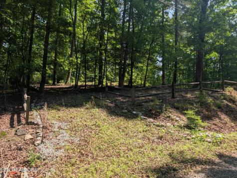 190 Fawnwood Drive Spring City TN 37381