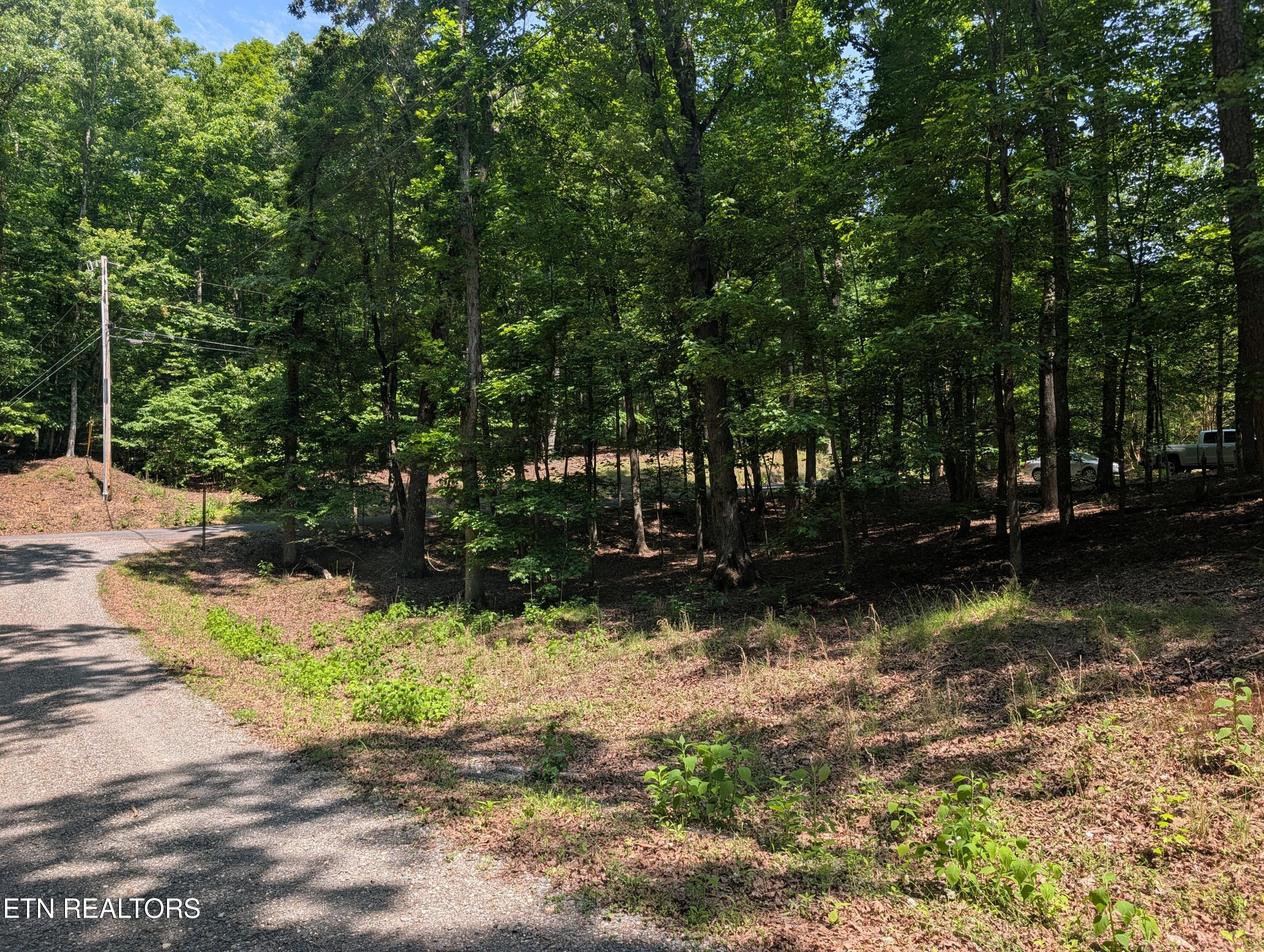 190 Fawnwood Drive Spring City TN 37381