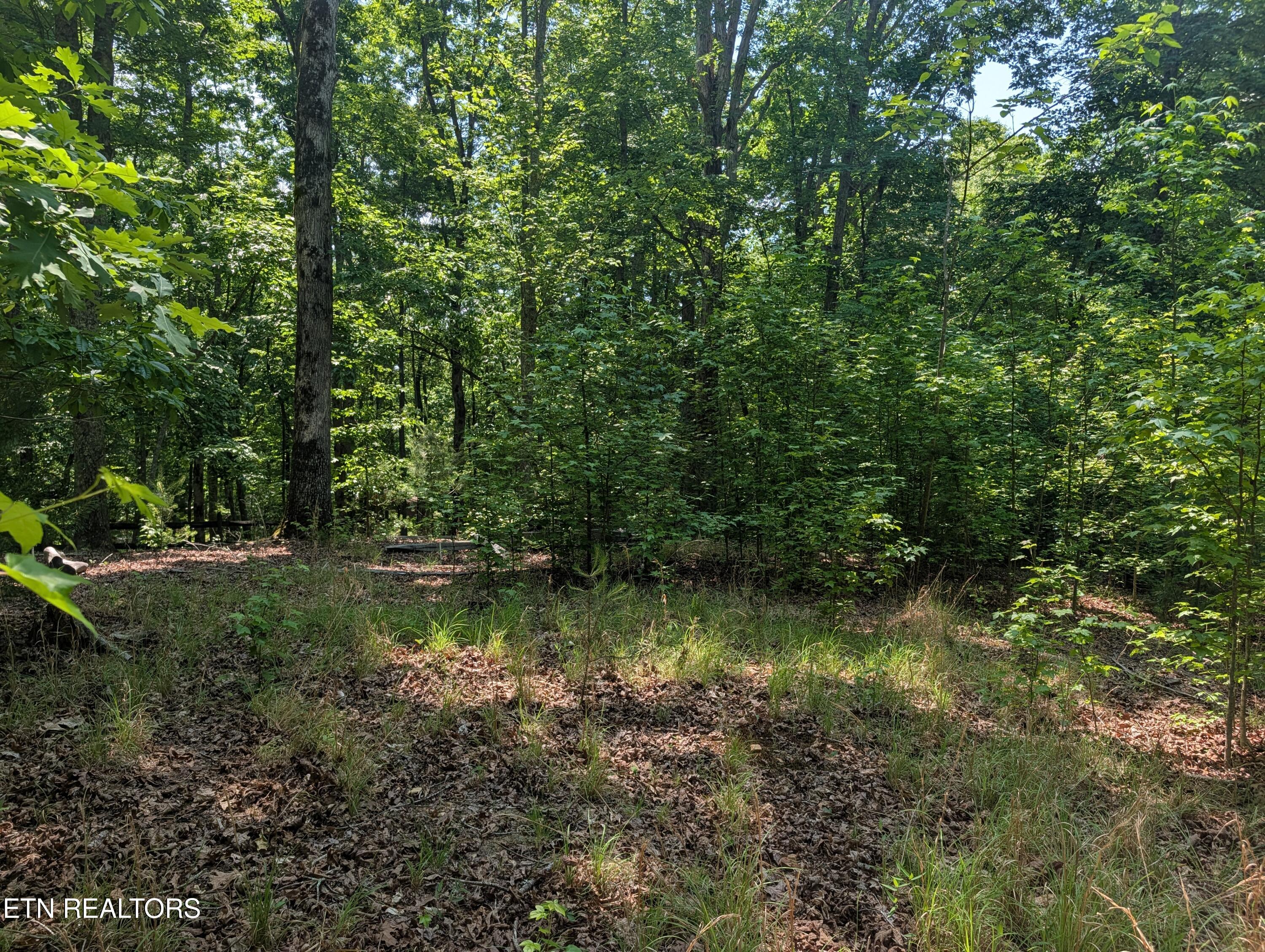 190 Fawnwood Drive Spring City TN 37381