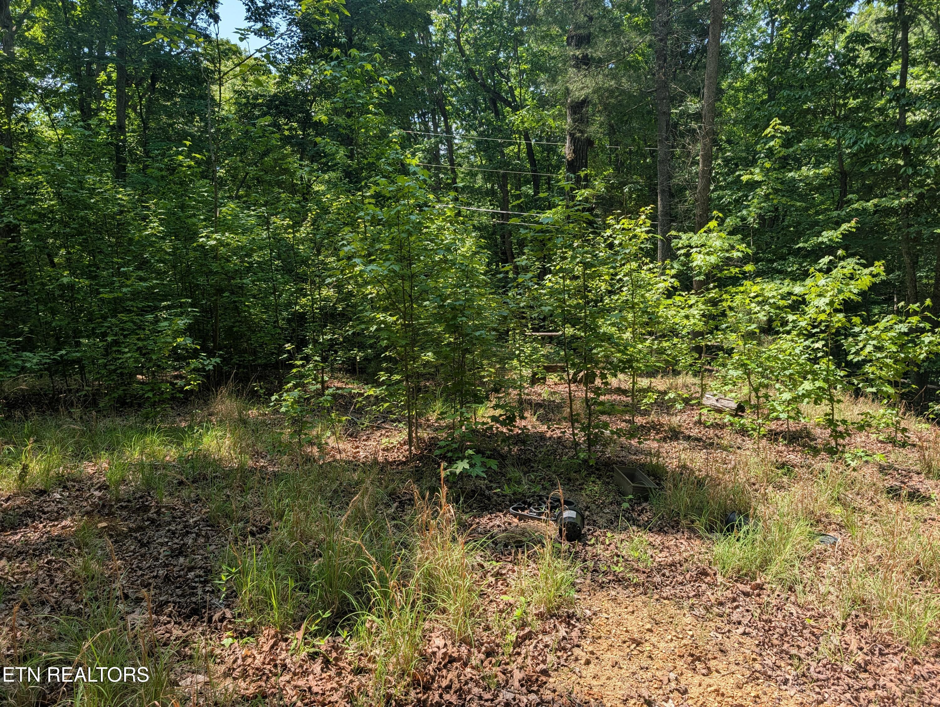 190 Fawnwood Drive Spring City TN 37381