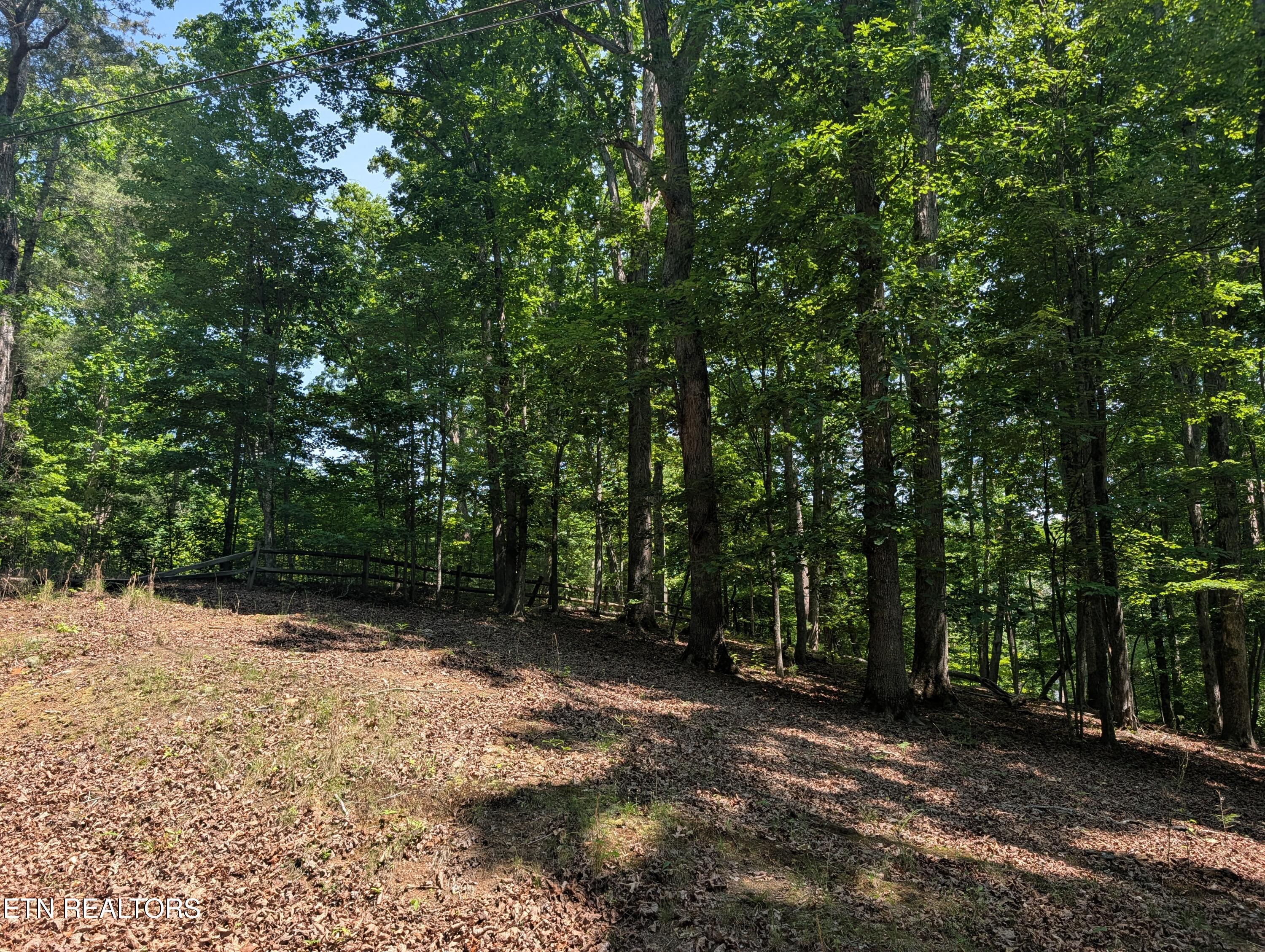 190 Fawnwood Drive Spring City TN 37381
