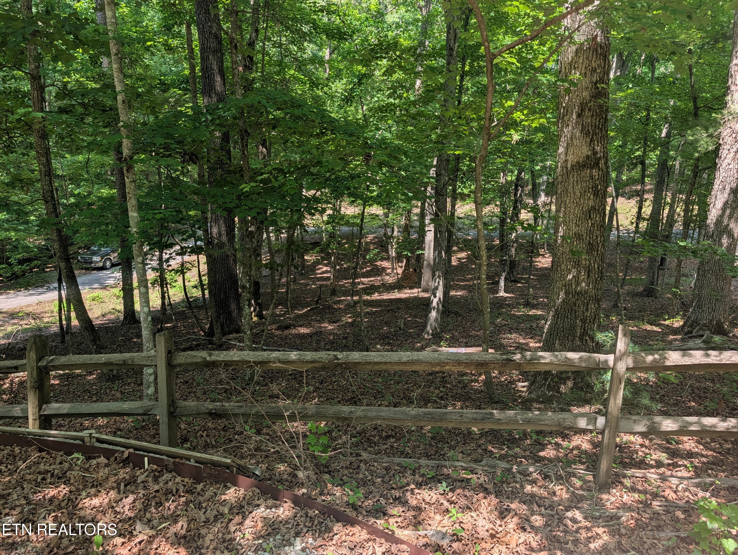 190 Fawnwood Drive Spring City TN 37381