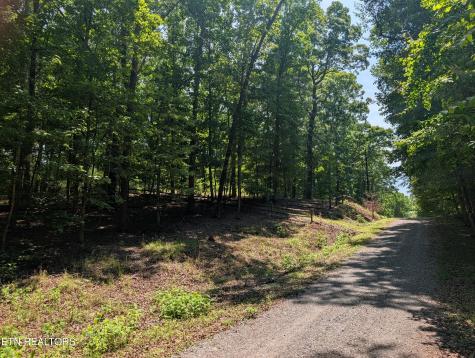 190 Fawnwood Drive Spring City TN 37381
