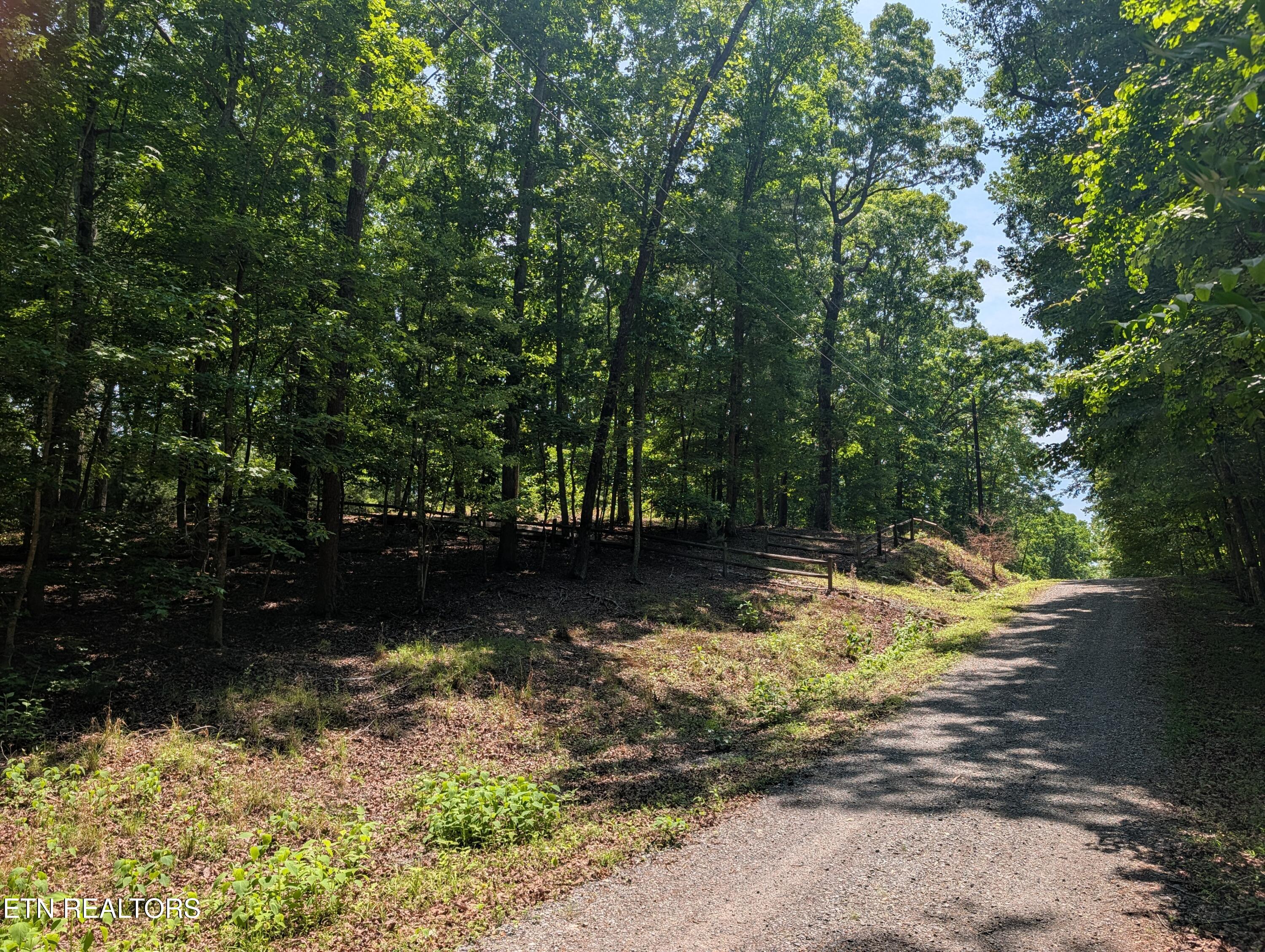 190 Fawnwood Drive Spring City TN 37381