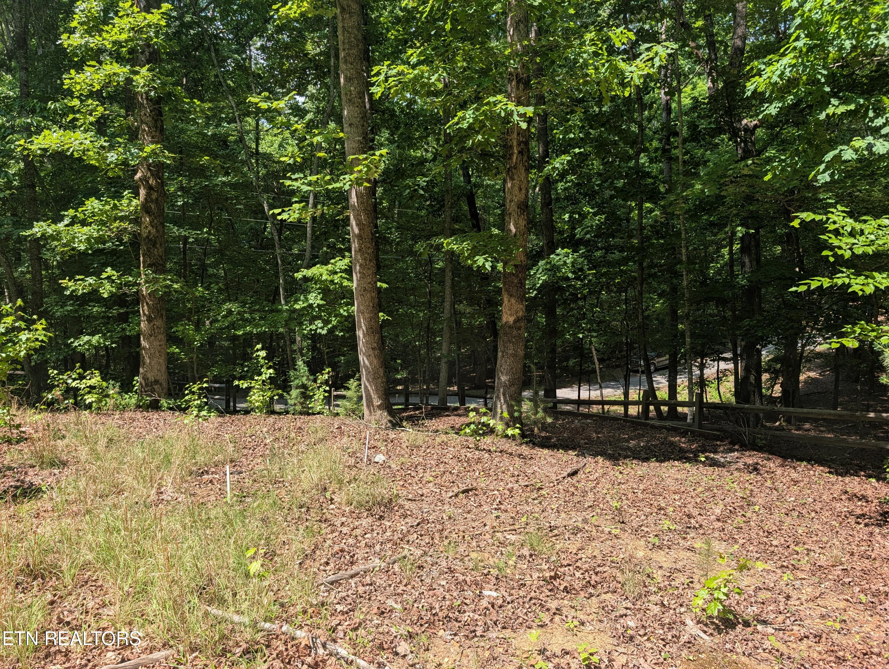 190 Fawnwood Drive Spring City TN 37381