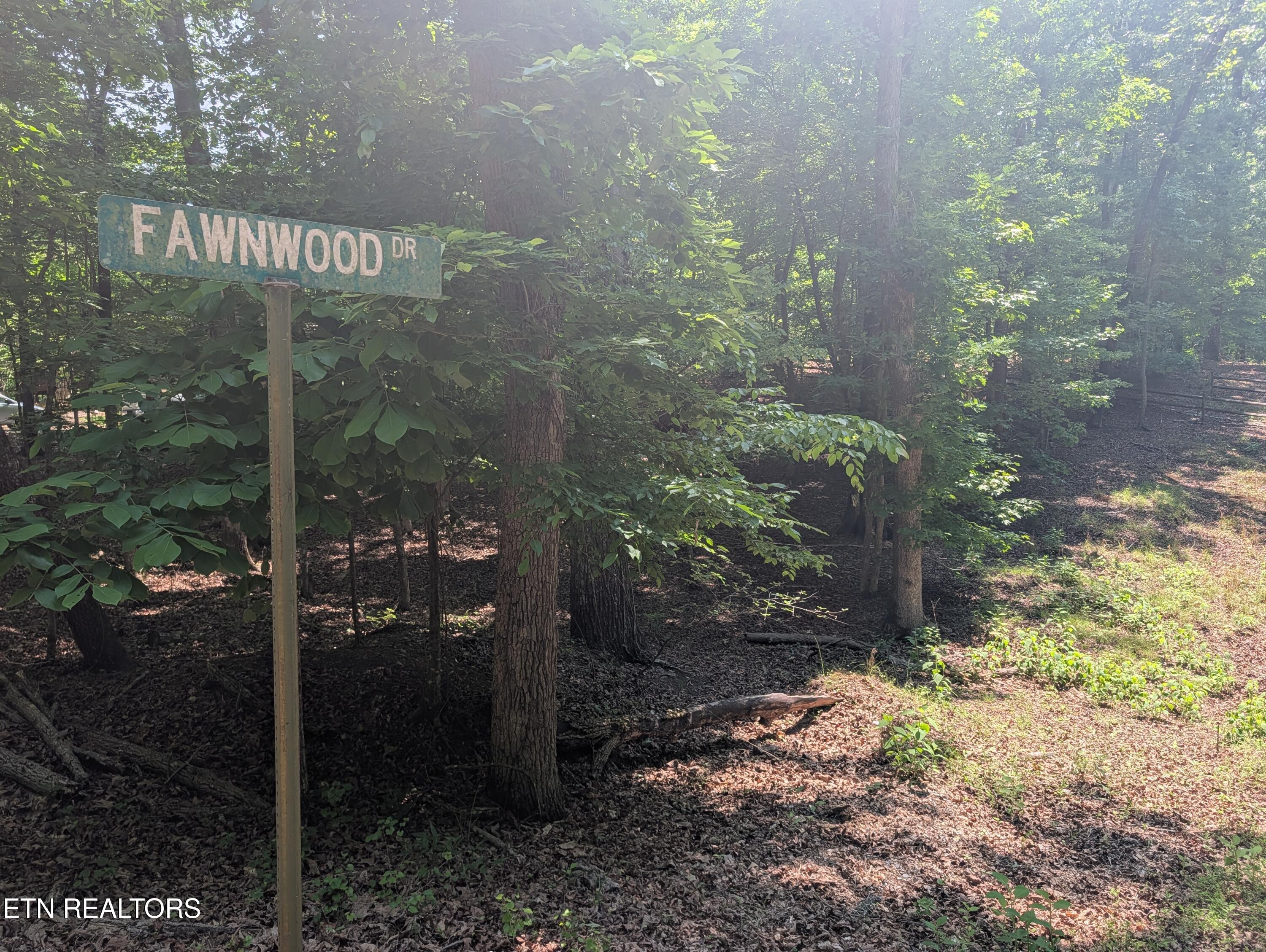 190 Fawnwood Drive Spring City TN 37381