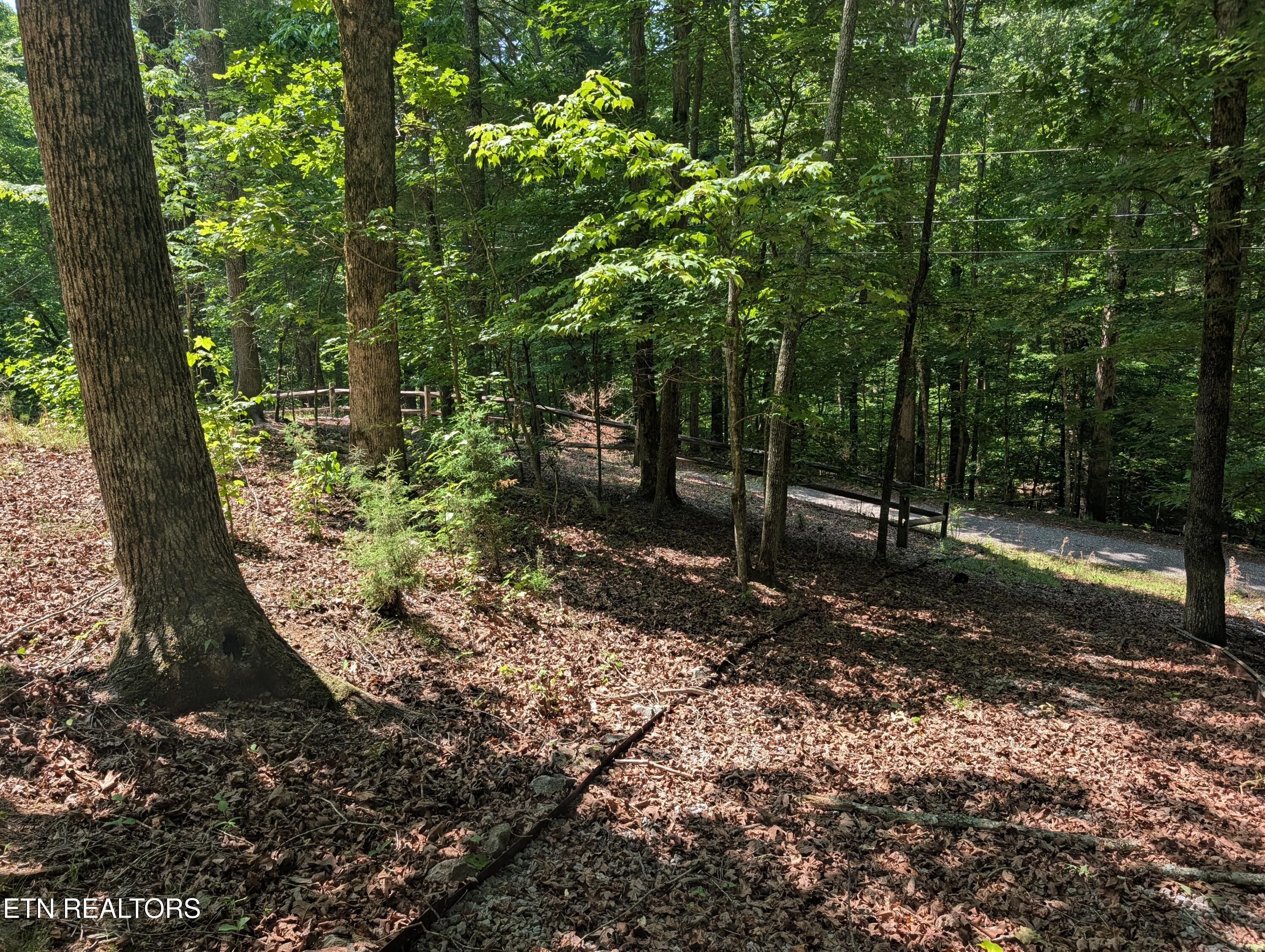 190 Fawnwood Drive Spring City TN 37381