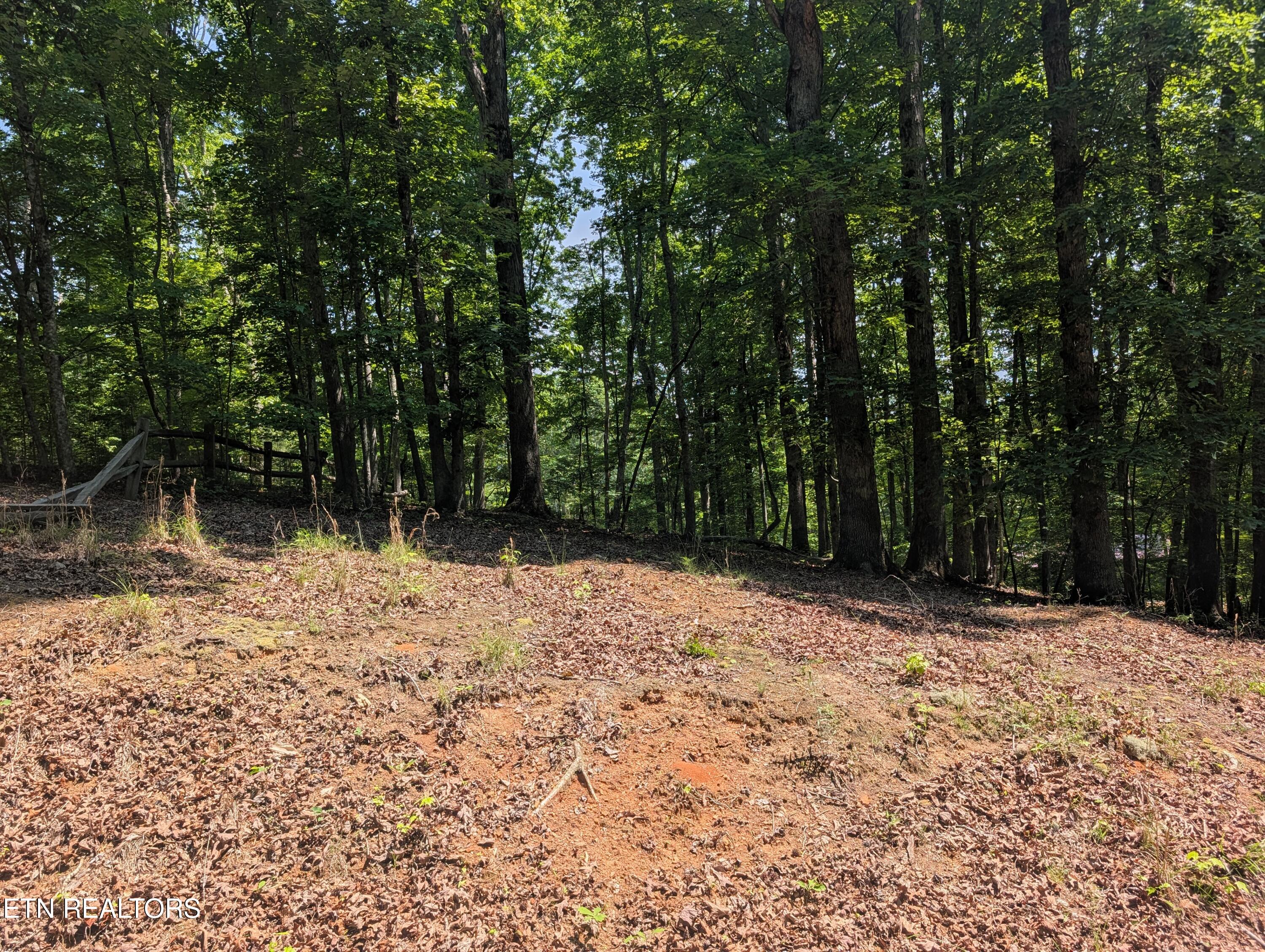 190 Fawnwood Drive Spring City TN 37381