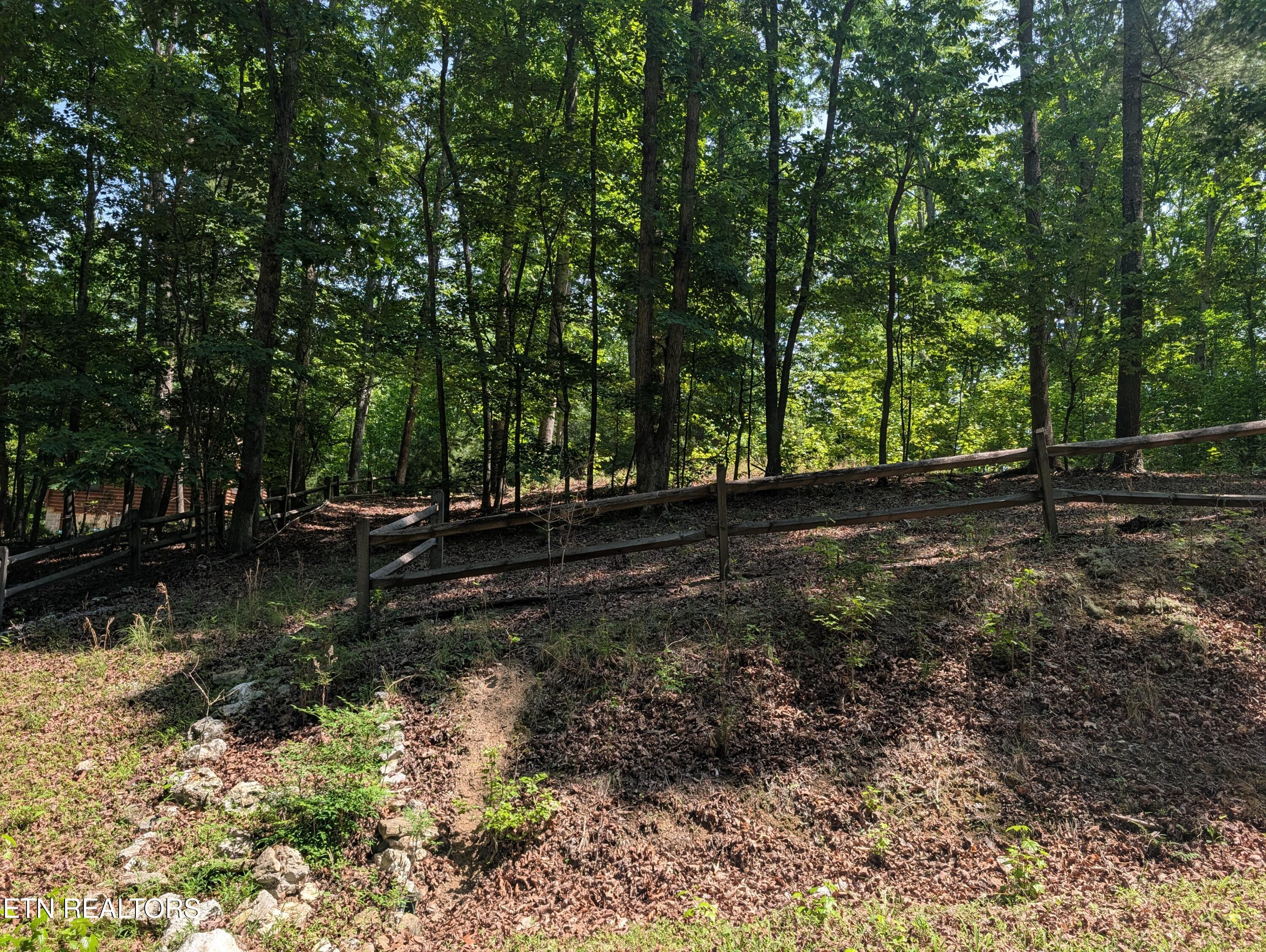 190 Fawnwood Drive Spring City TN 37381