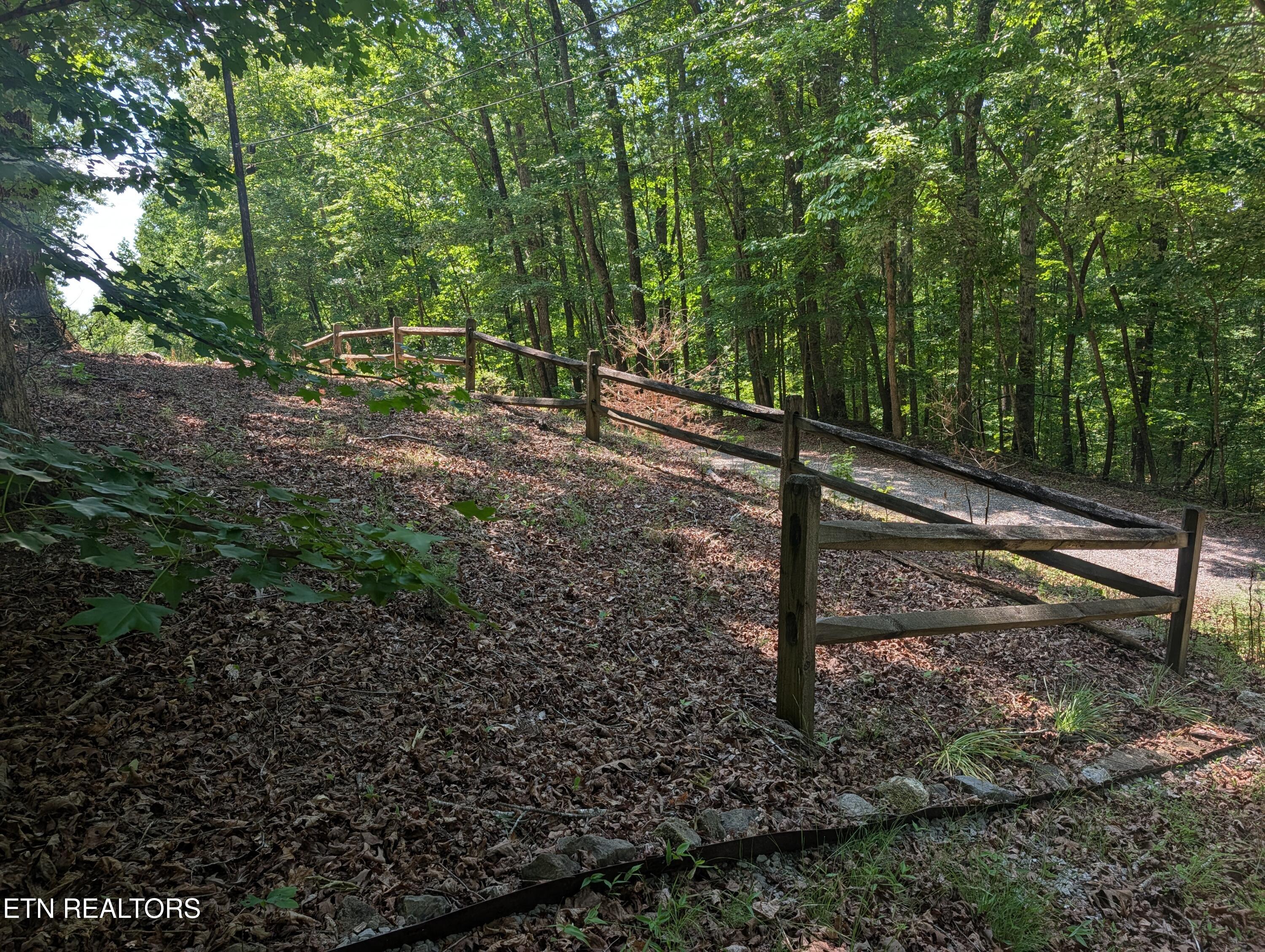190 Fawnwood Drive Spring City TN 37381