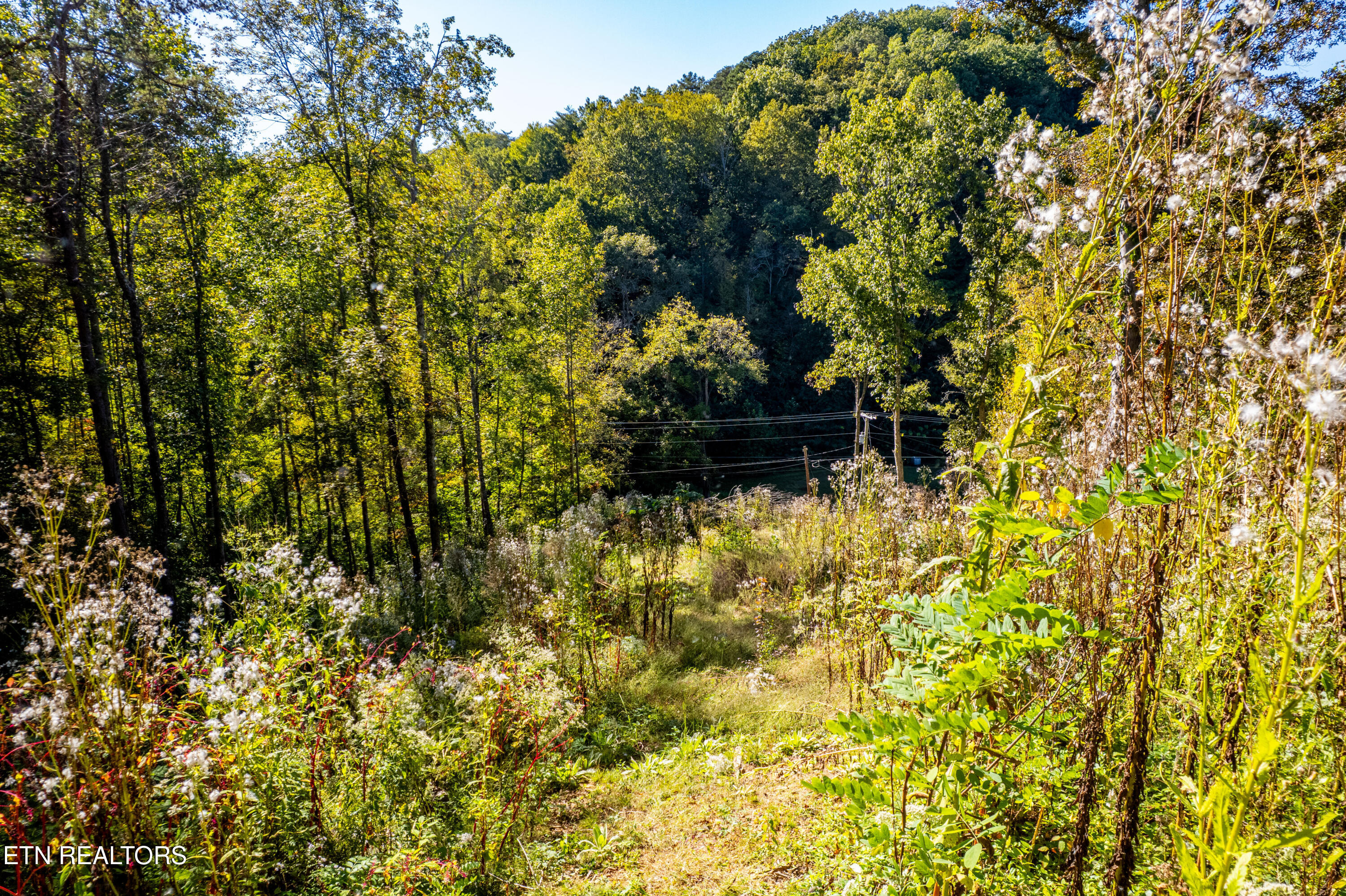 883 Jama Way Maryville TN 37803
