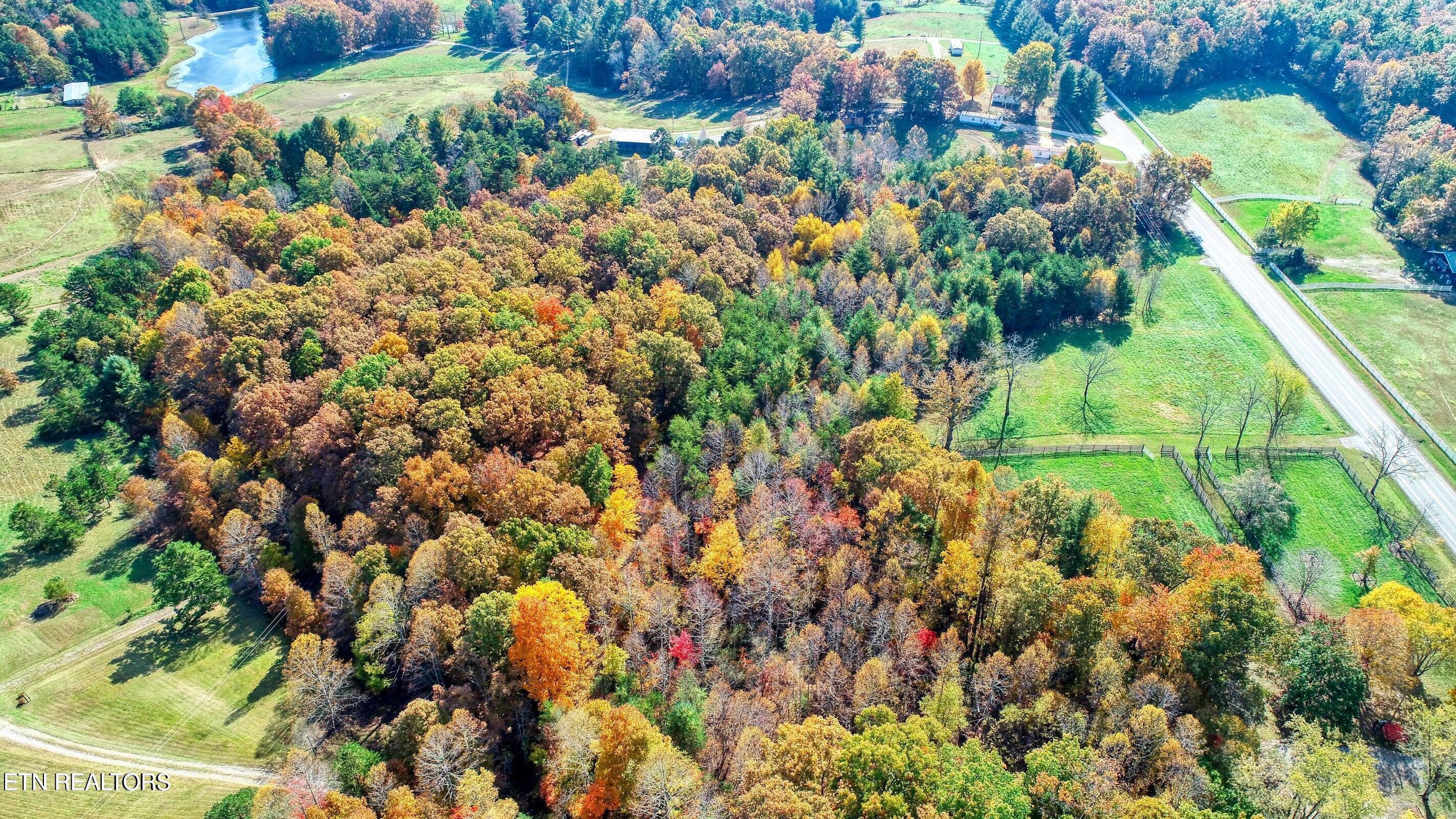 3265 Leatherwood Ford Road Jamestown TN 38556