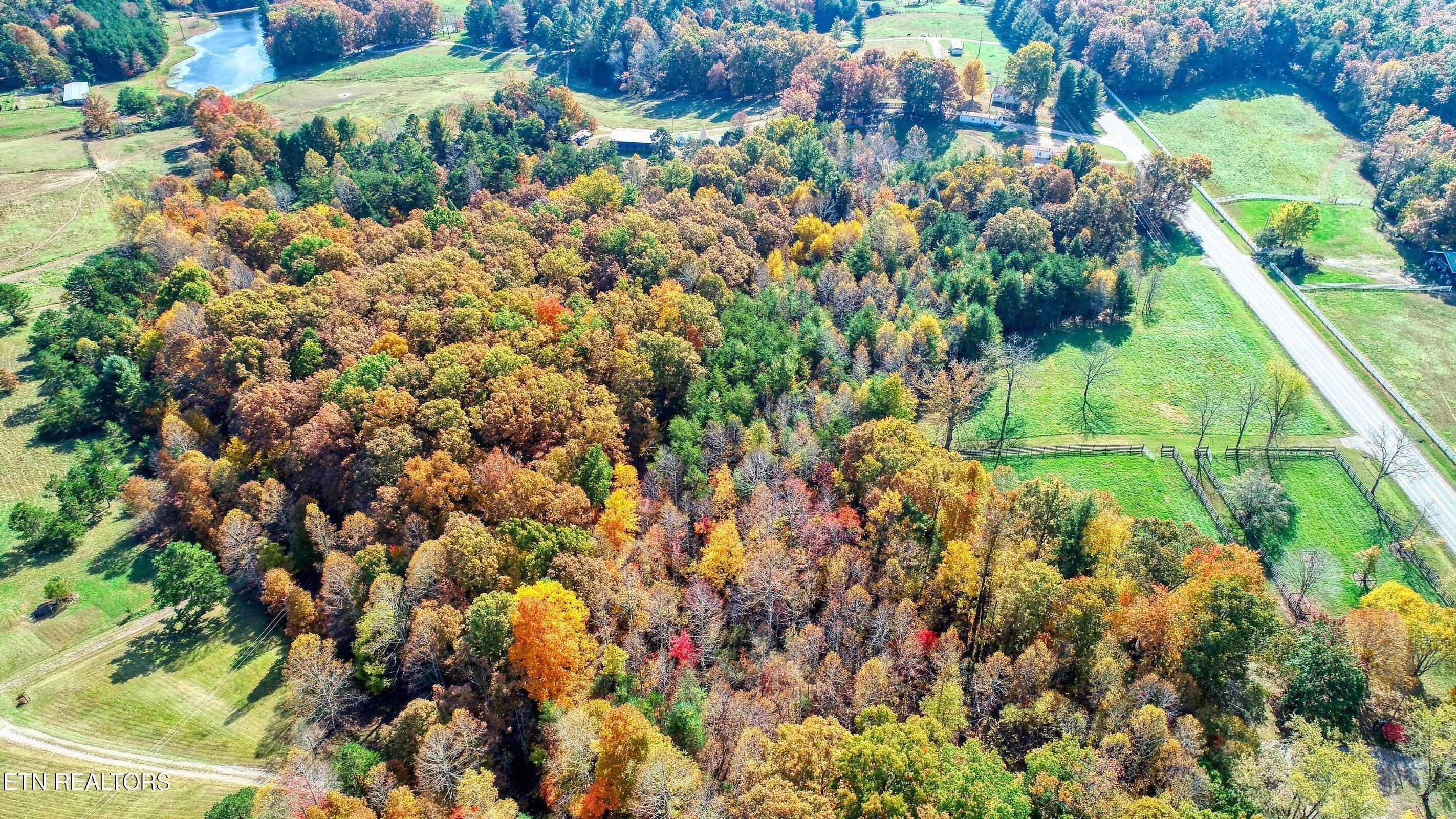 3265 Leatherwood Ford Road Jamestown TN 38556