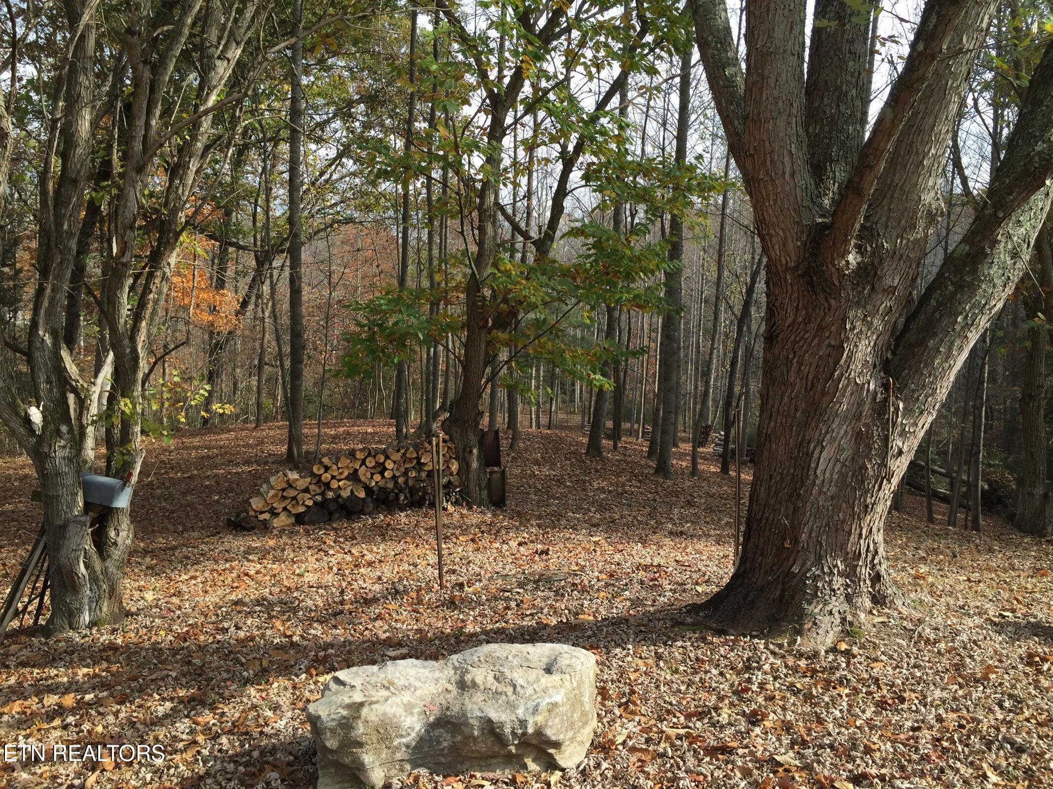 3265 Leatherwood Ford Road Jamestown TN 38556
