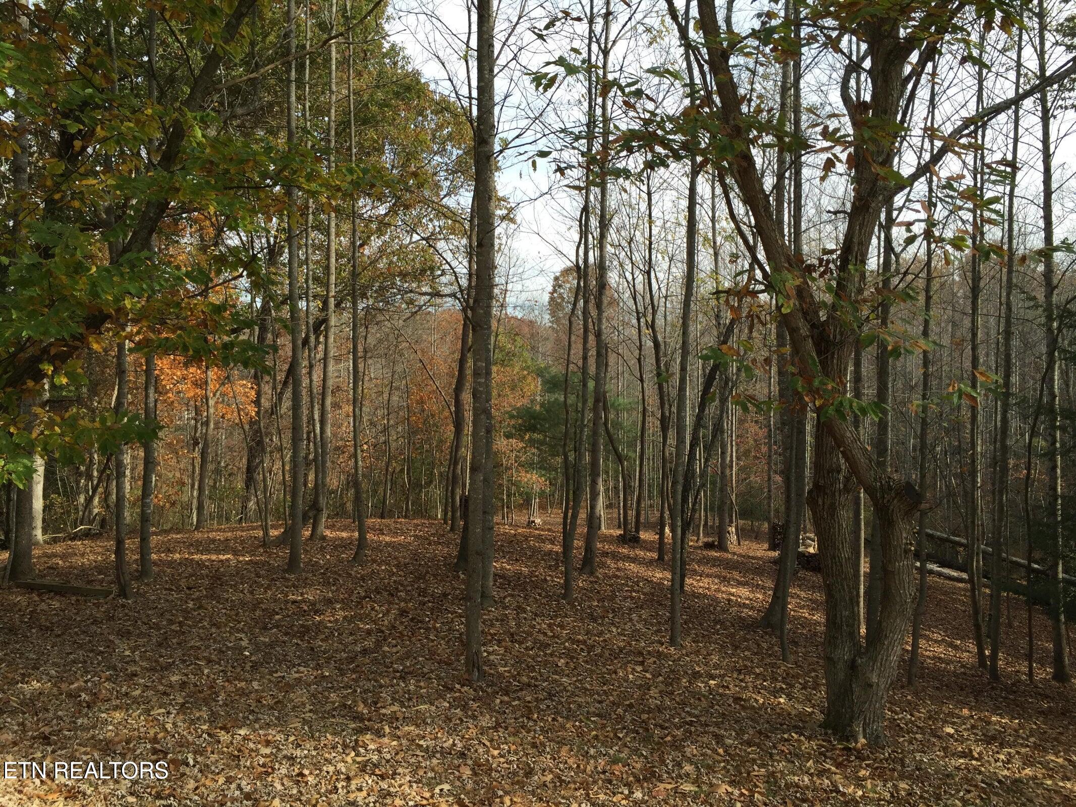 3265 Leatherwood Ford Road Jamestown TN 38556
