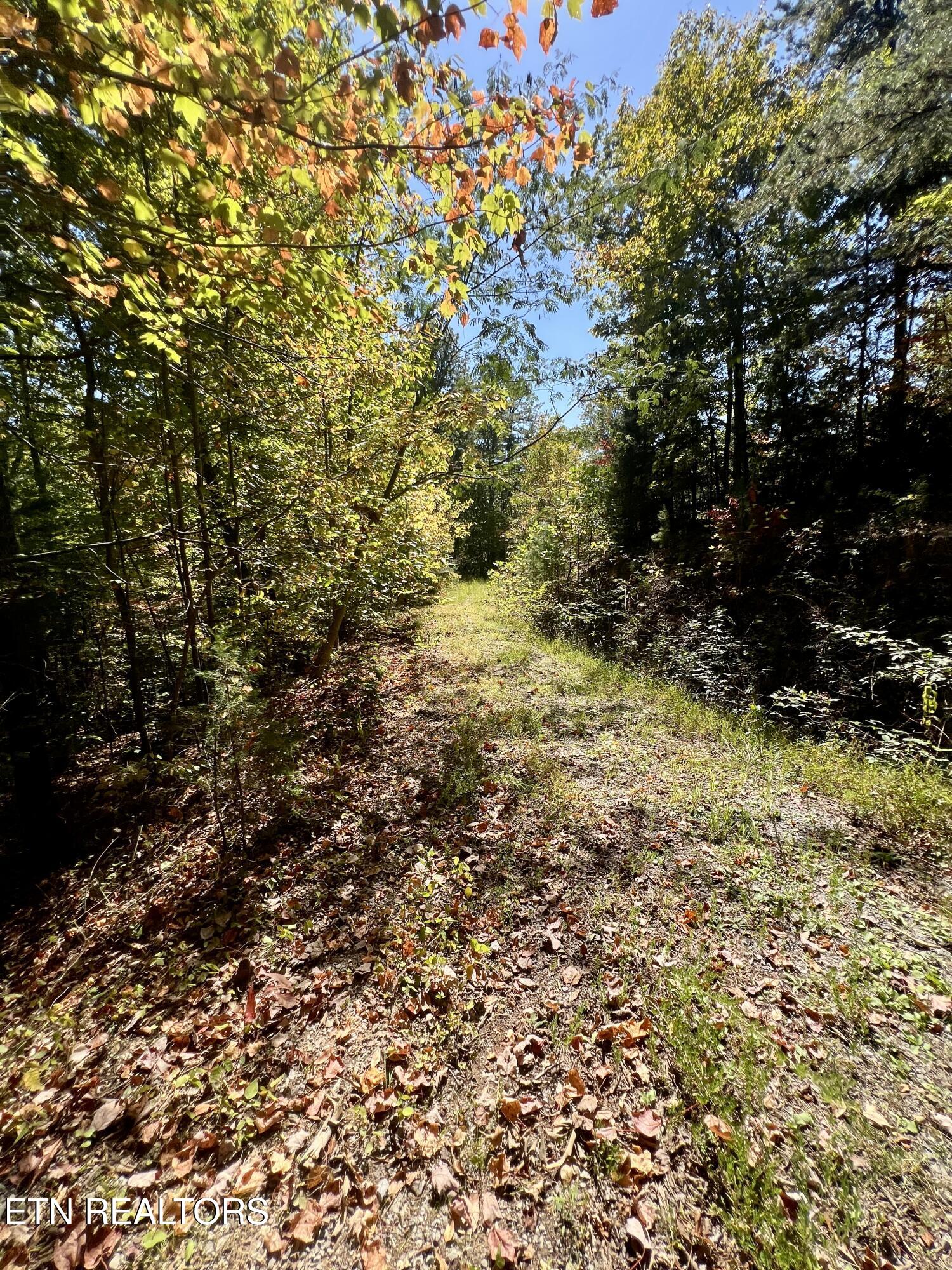 Parcel 20 Creek Hollow Way Sevierville TN 37876