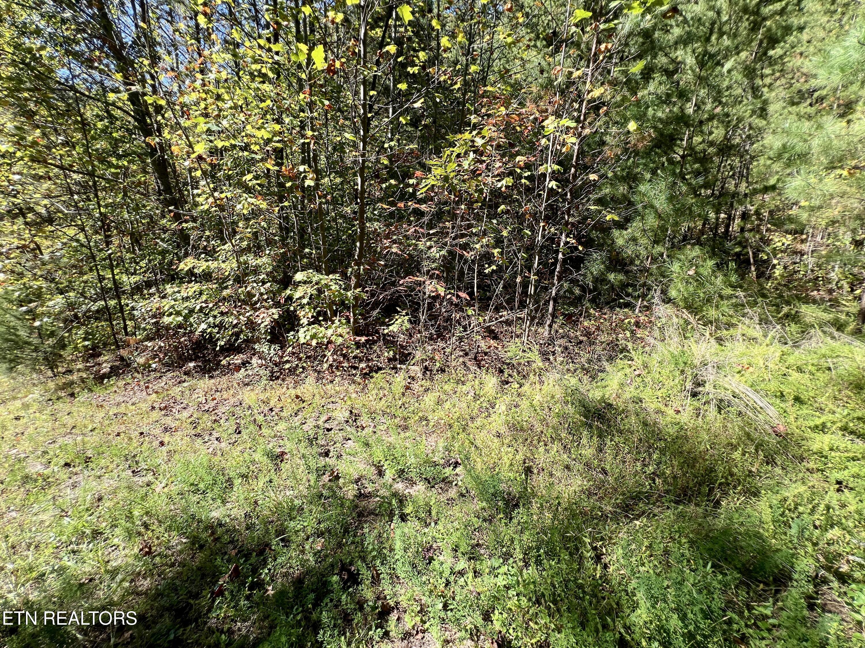 Parcel 20 Creek Hollow Way Sevierville TN 37876