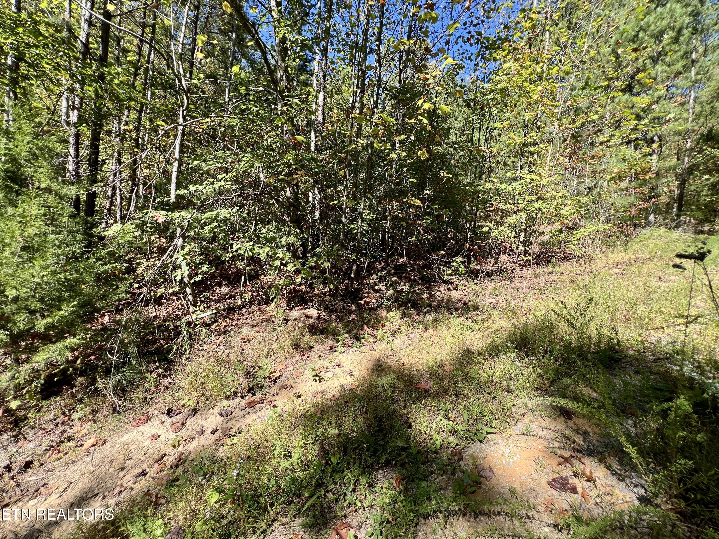 Parcel 20 Creek Hollow Way Sevierville TN 37876