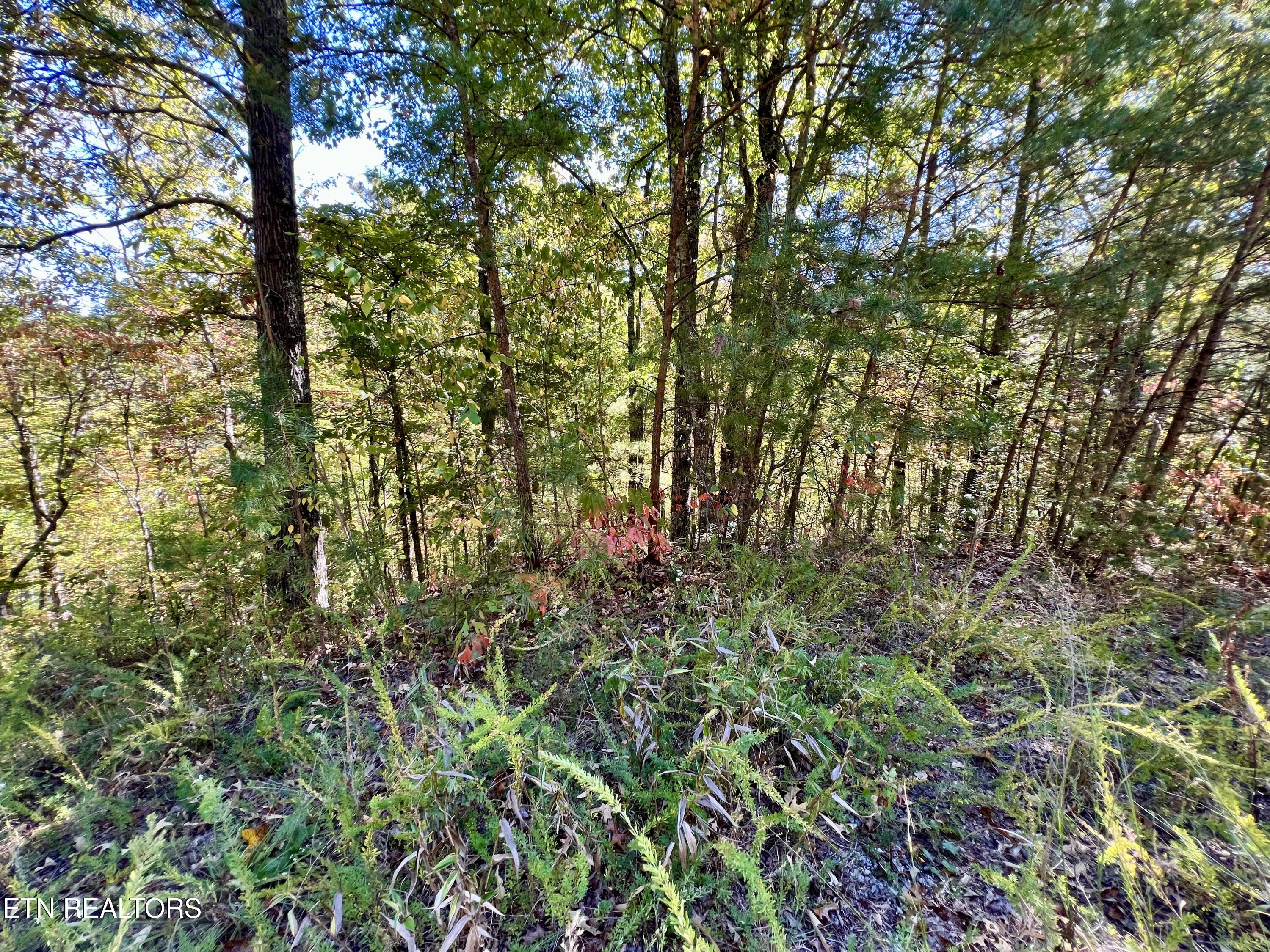 Parcel 20 Creek Hollow Way Sevierville TN 37876