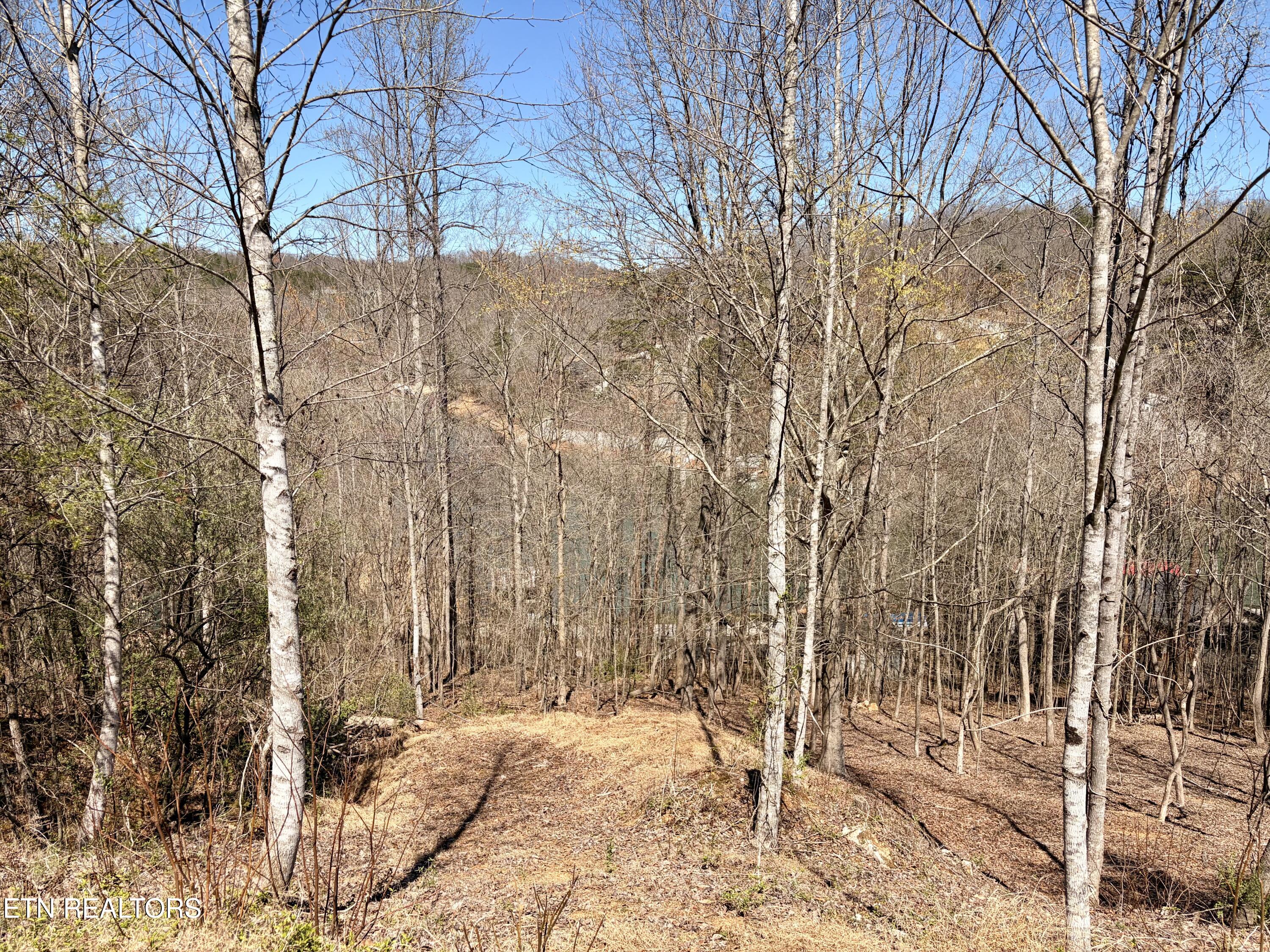 113 Laurel Way Lafollette TN 37766