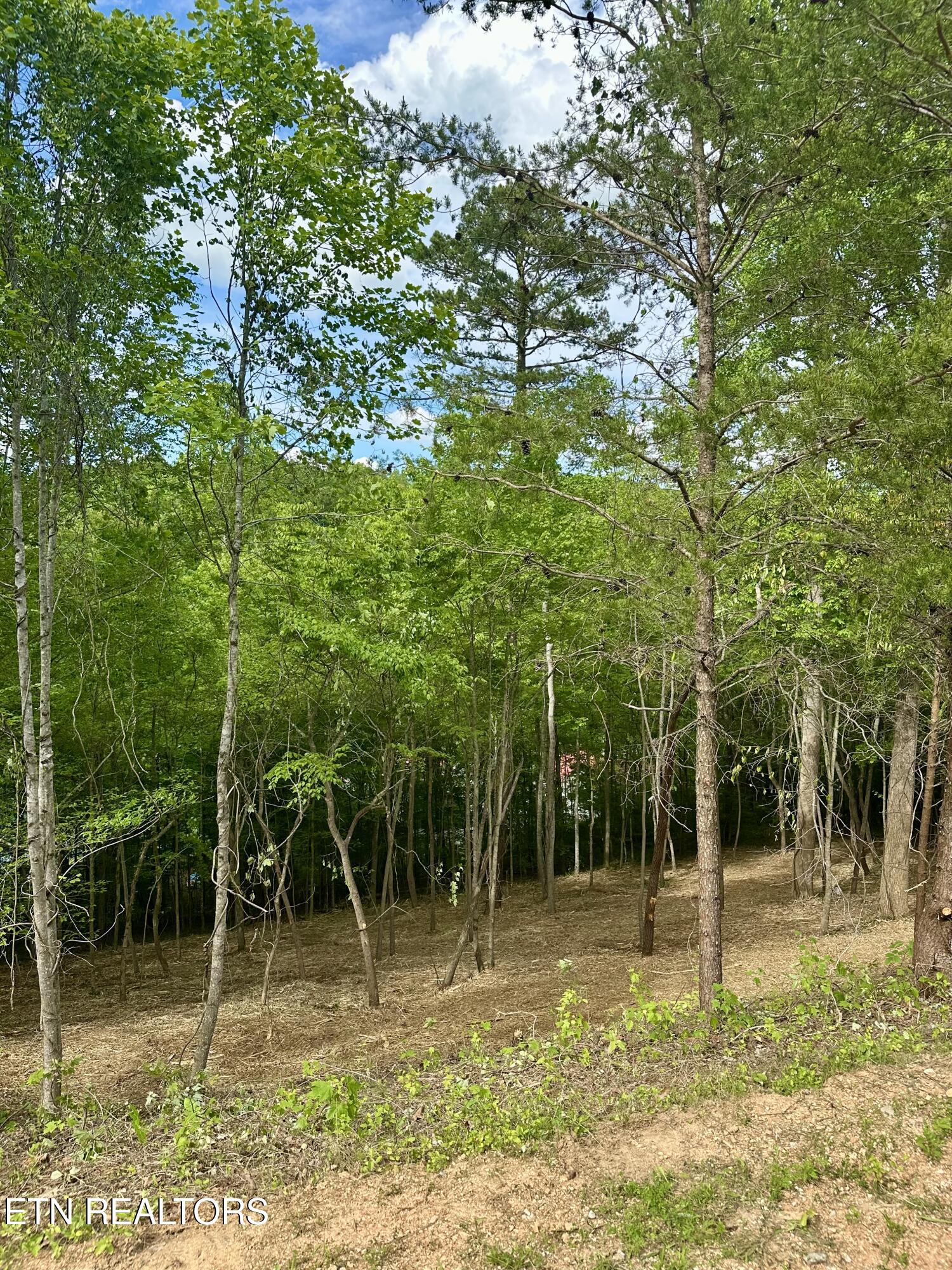 113 Laurel Way Lafollette TN 37766