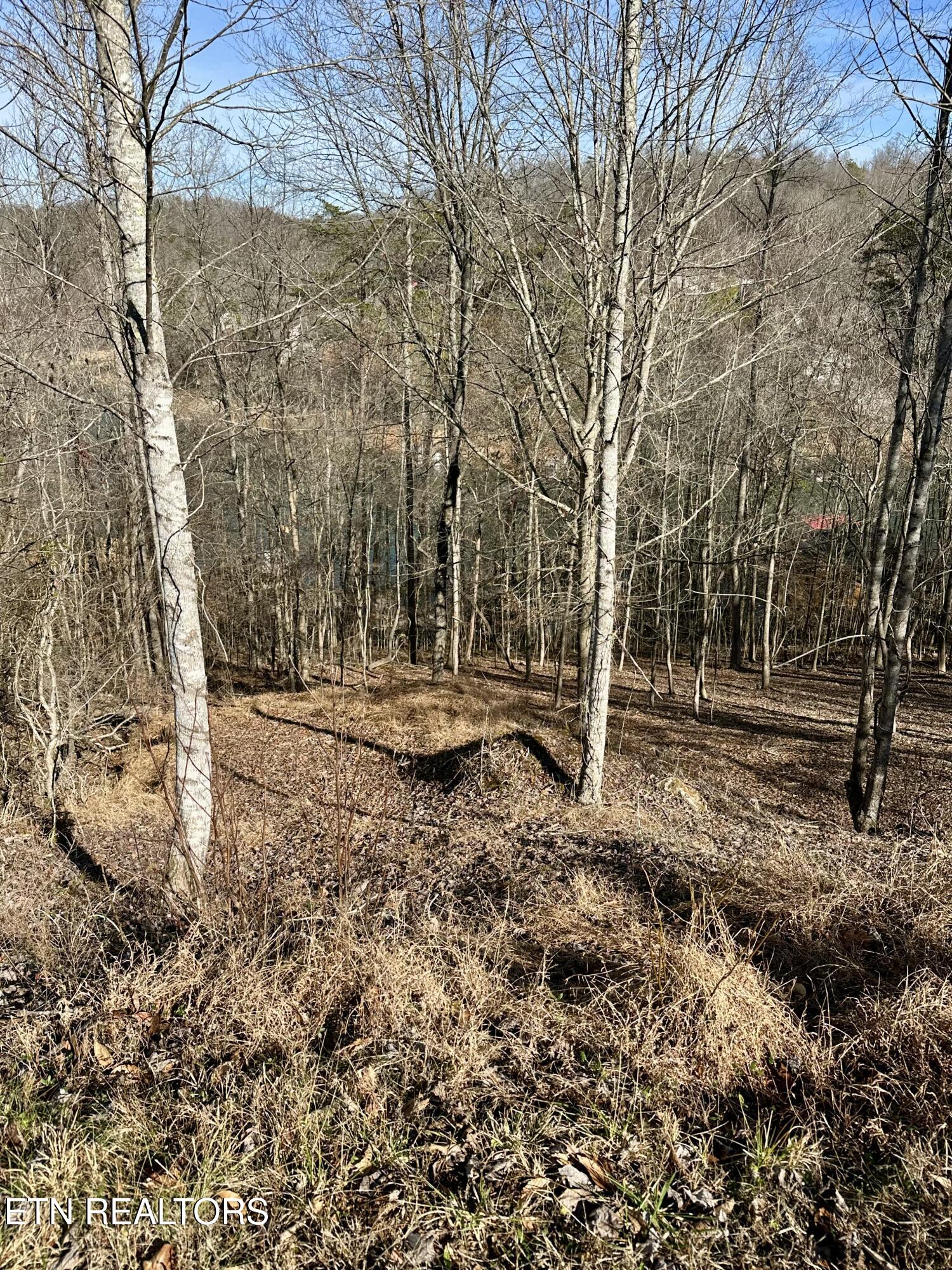 113 Laurel Way Lafollette TN 37766