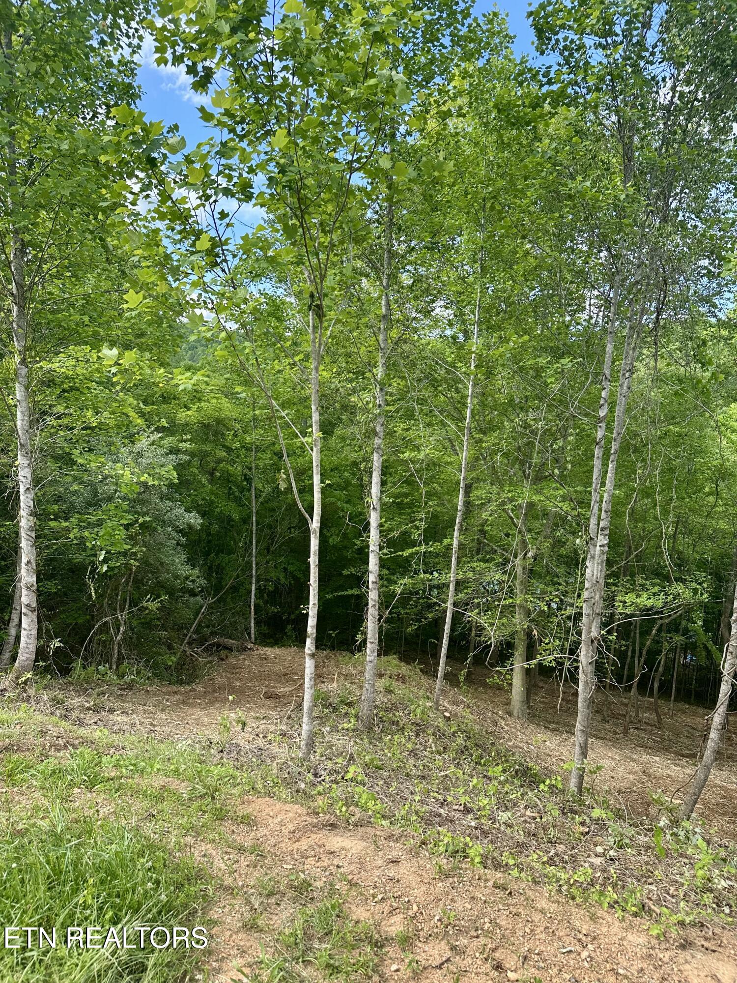 113 Laurel Way Lafollette TN 37766