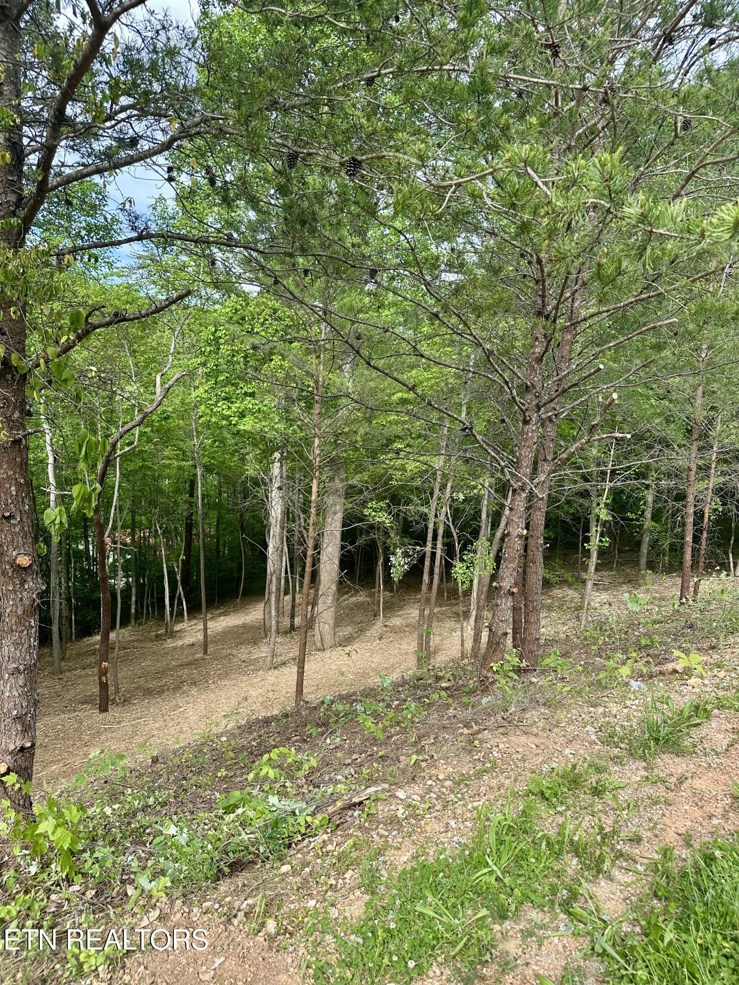 113 Laurel Way Lafollette TN 37766