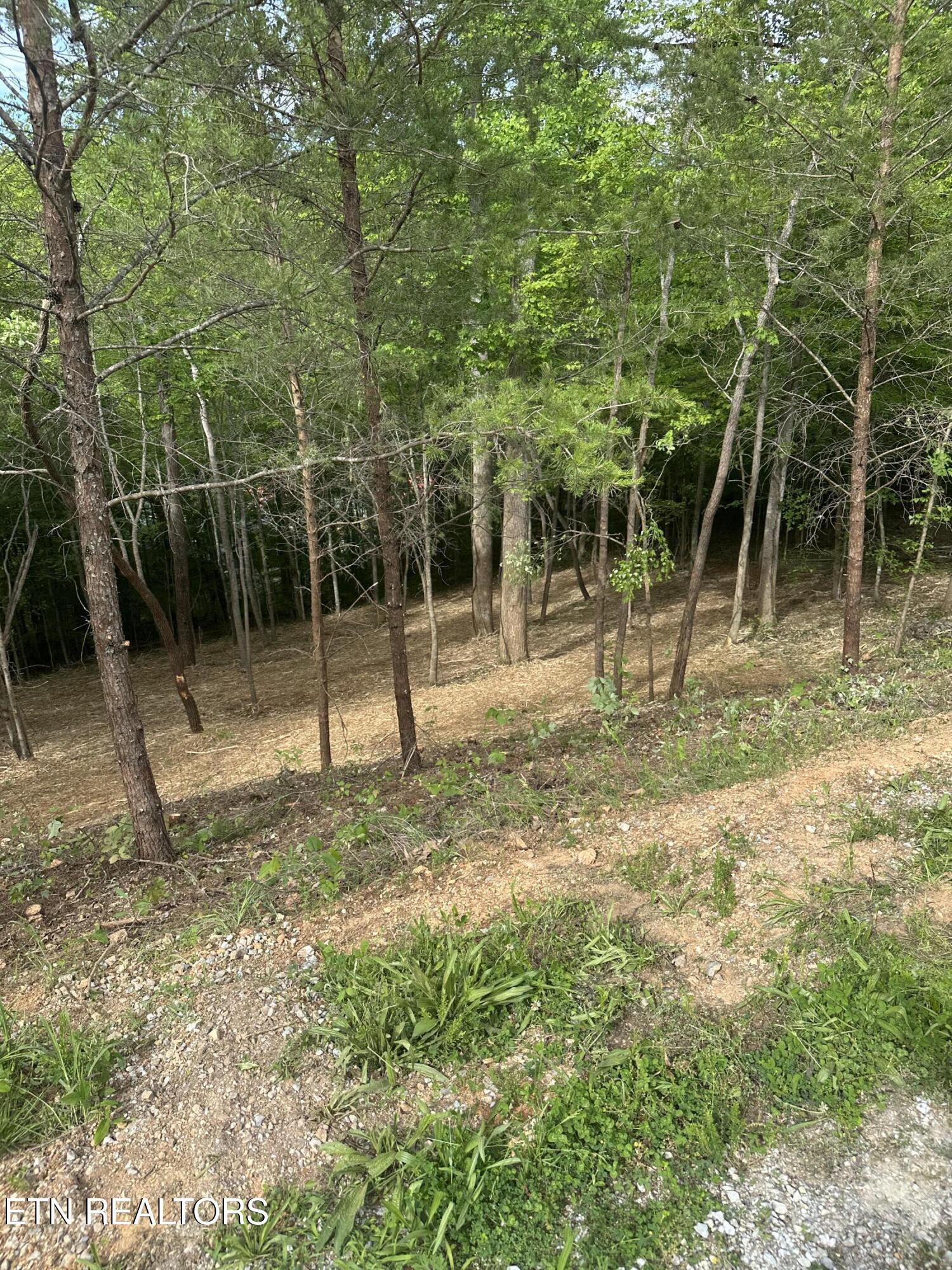 113 Laurel Way Lafollette TN 37766