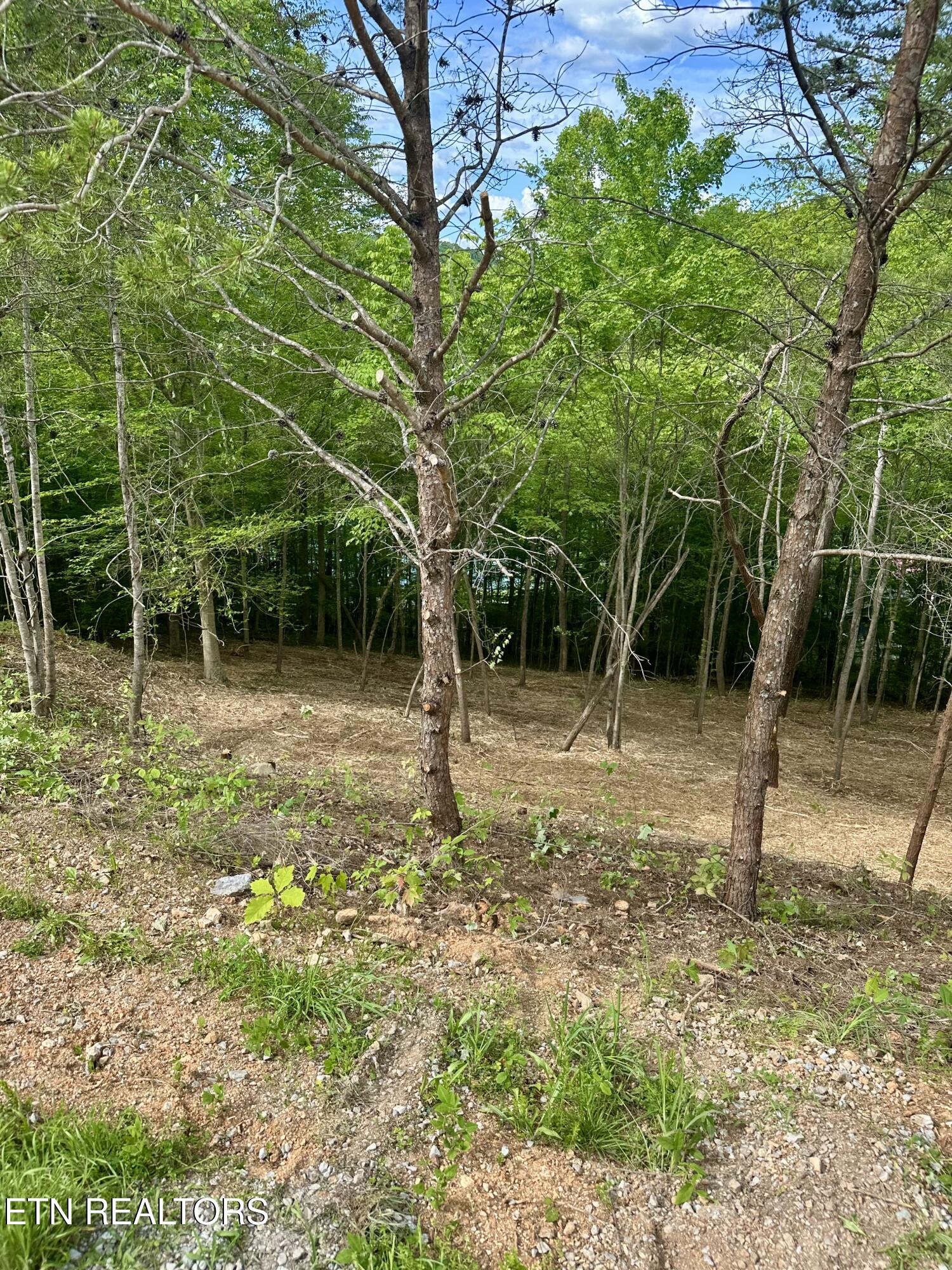113 Laurel Way Lafollette TN 37766