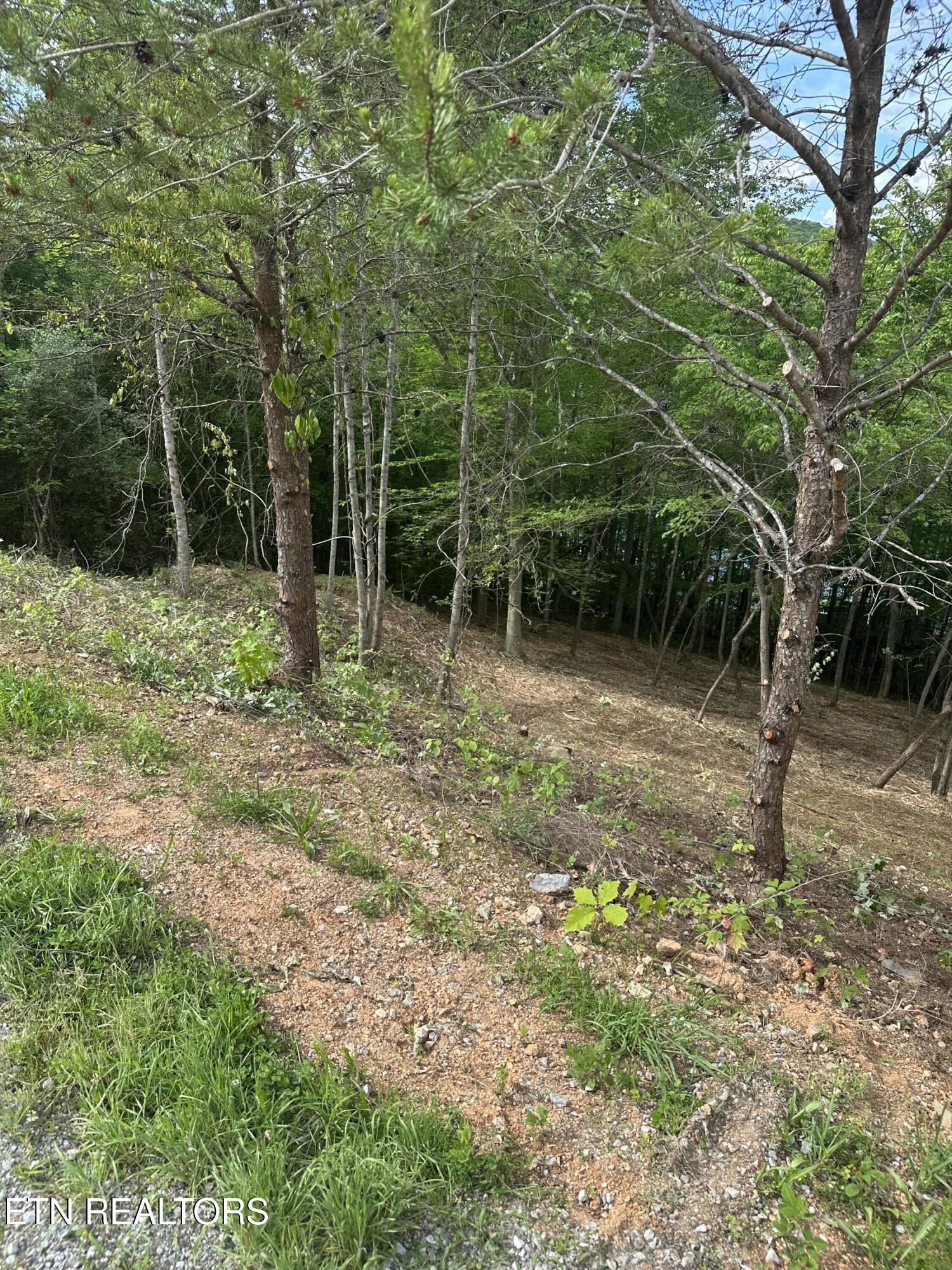 113 Laurel Way Lafollette TN 37766