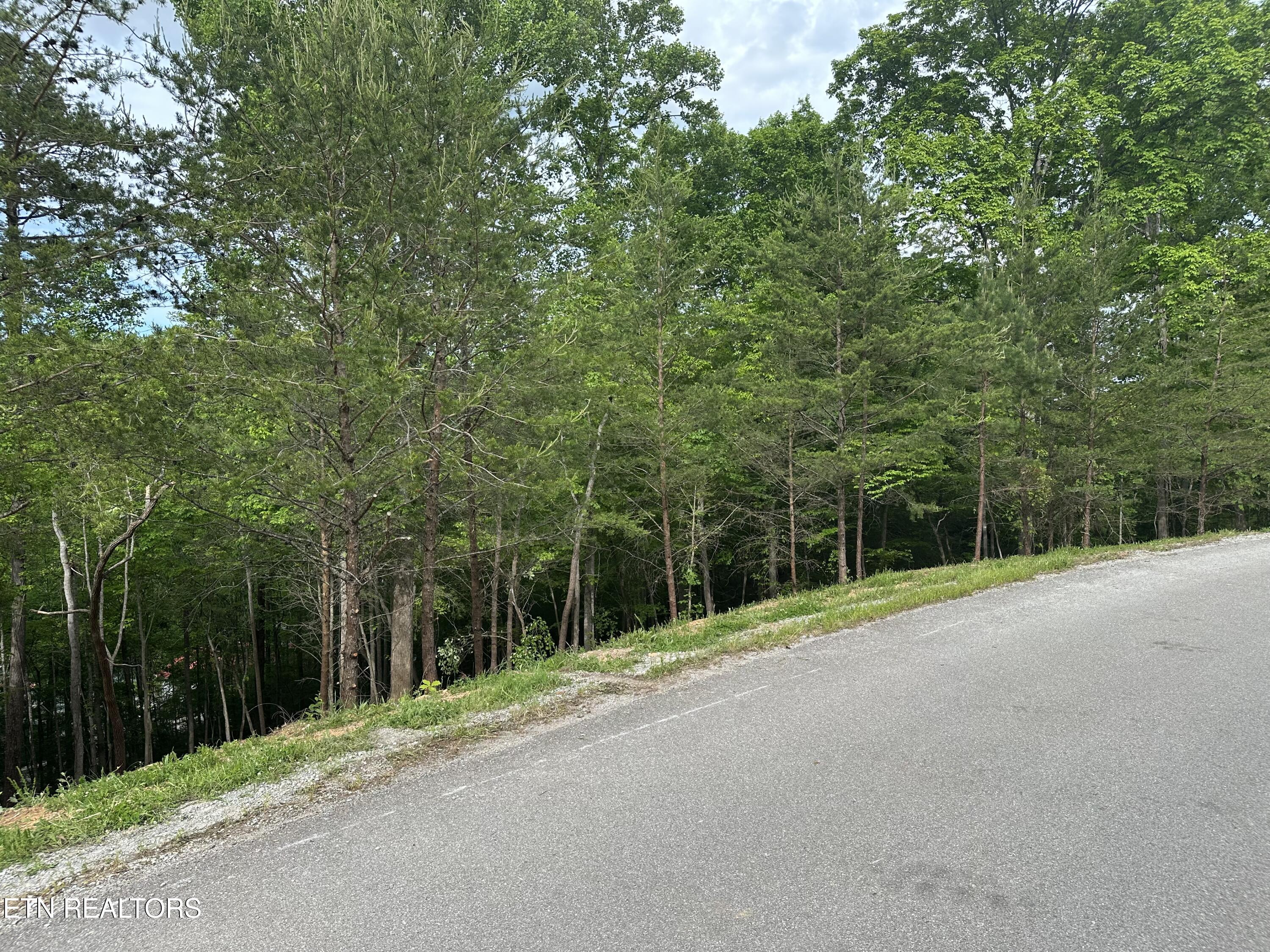 113 Laurel Way Lafollette TN 37766