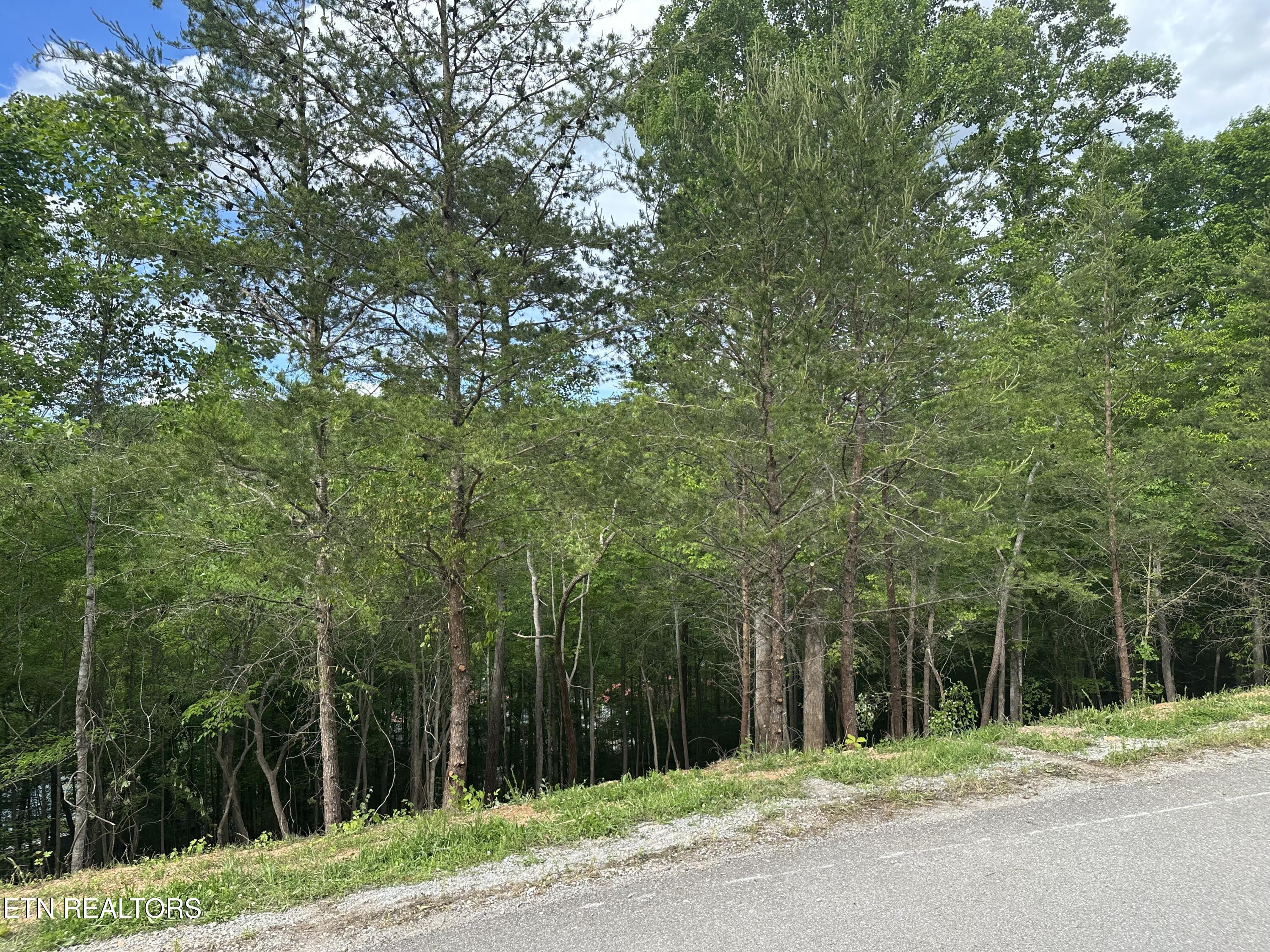 113 Laurel Way Lafollette TN 37766