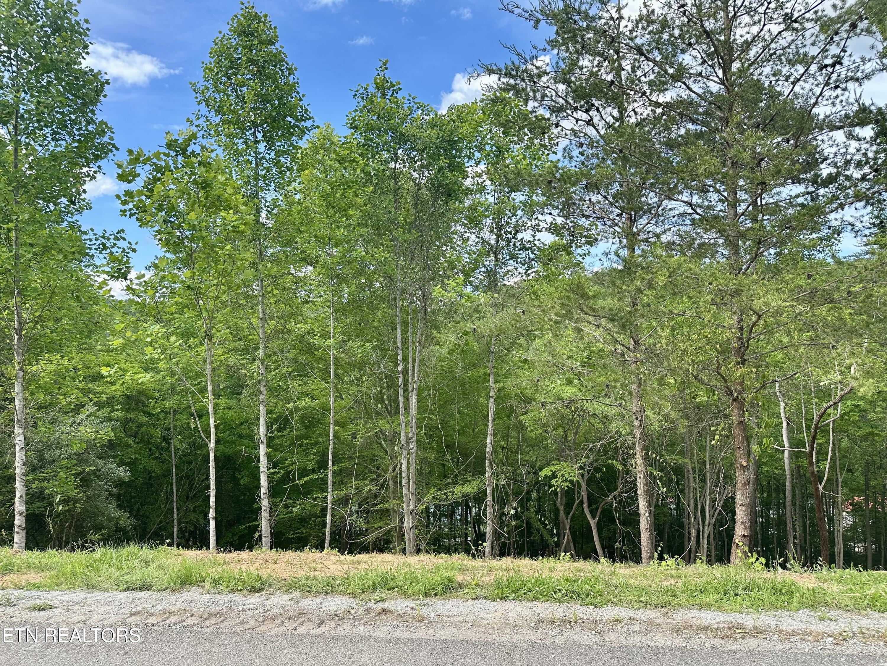 113 Laurel Way Lafollette TN 37766