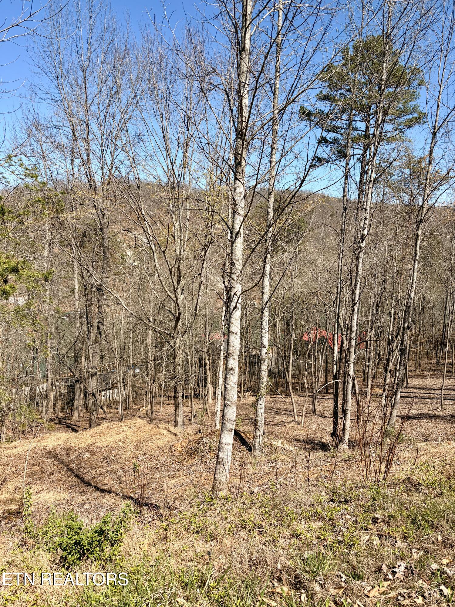 113 Laurel Way Lafollette TN 37766