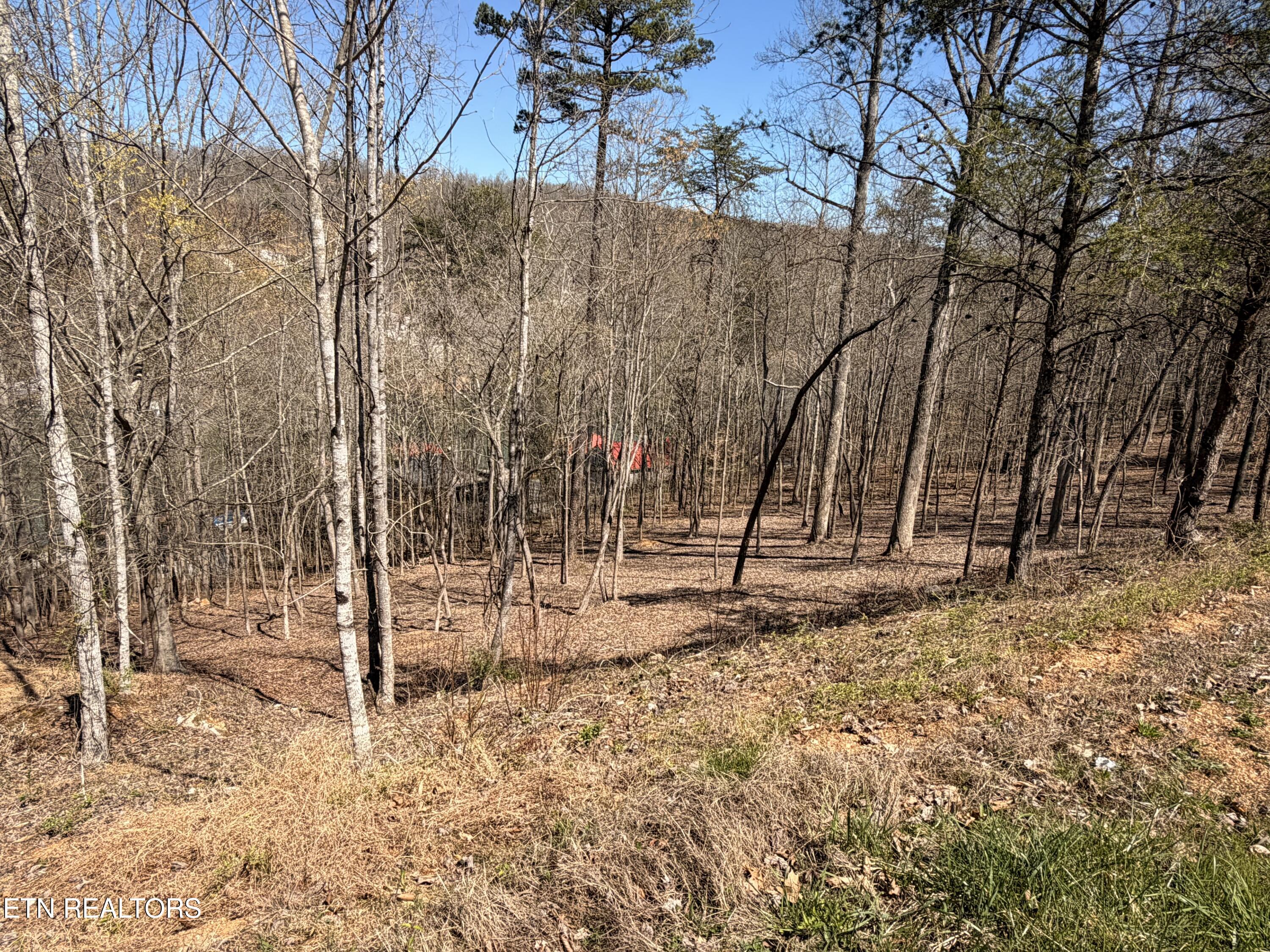 113 Laurel Way Lafollette TN 37766