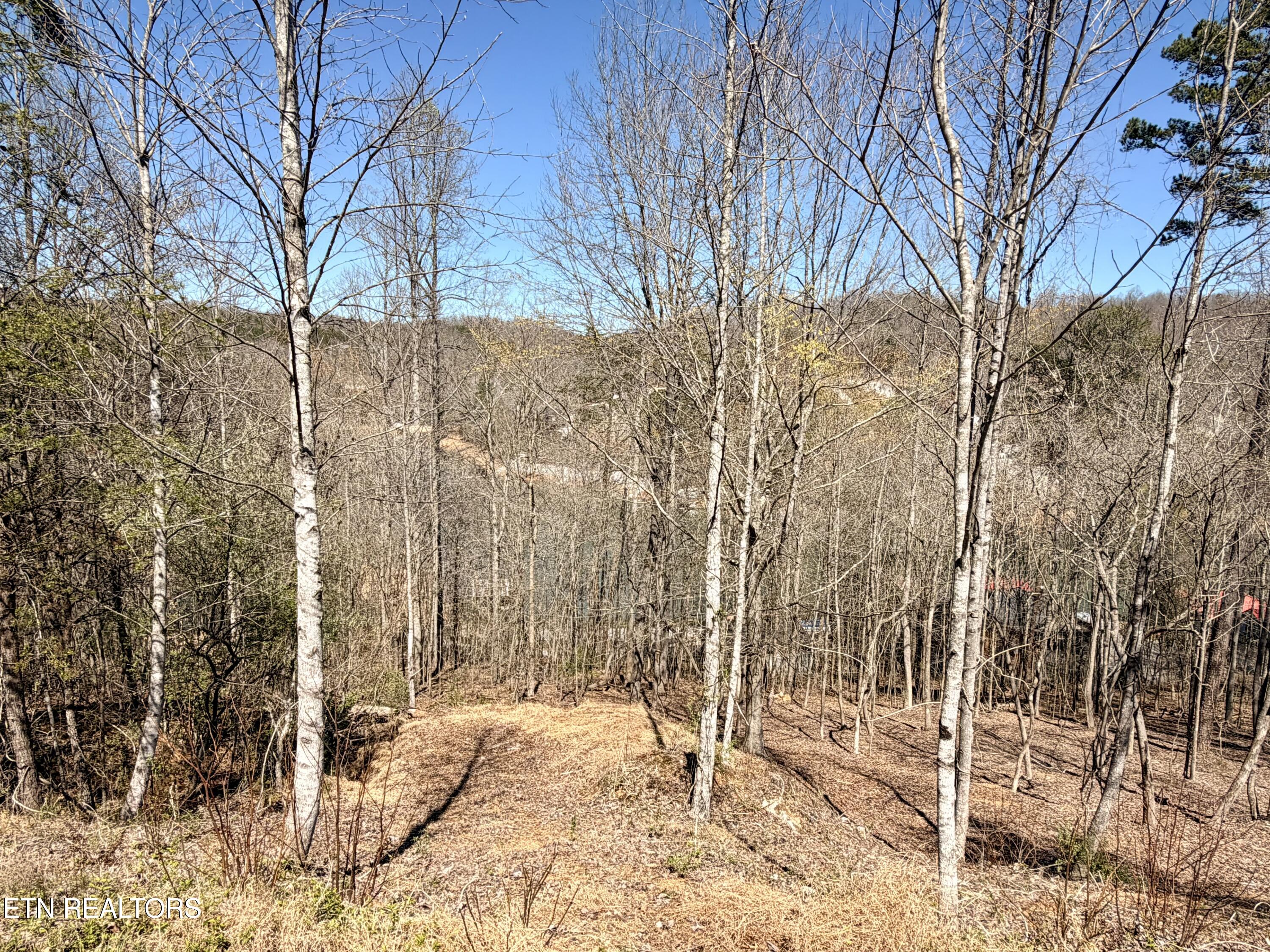 113 Laurel Way Lafollette TN 37766