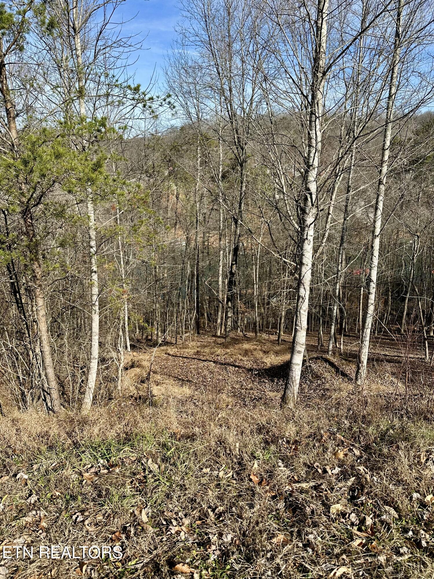 113 Laurel Way Lafollette TN 37766