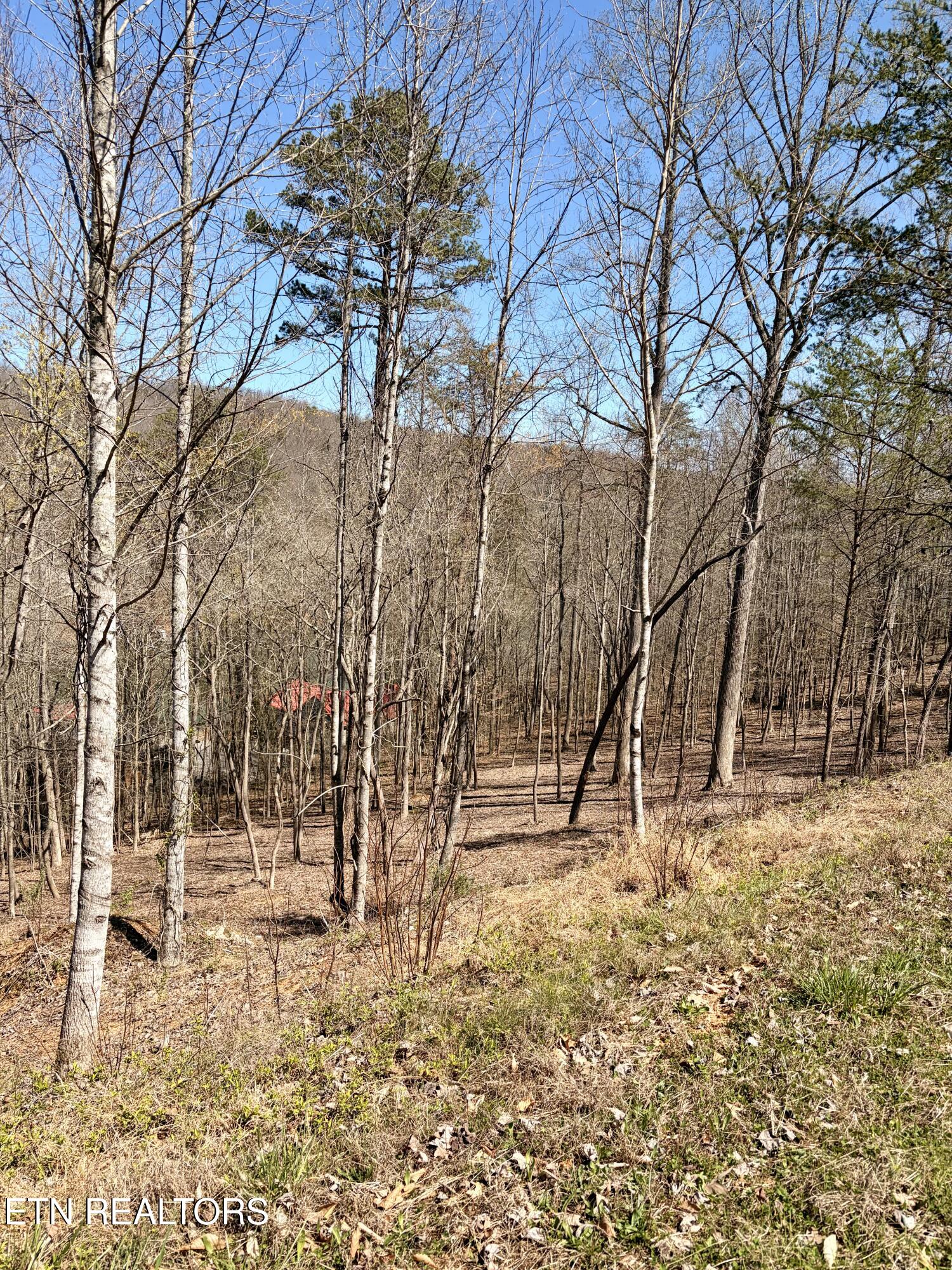113 Laurel Way Lafollette TN 37766