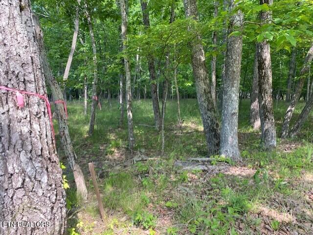 11 Rolling Green Circle Crossville TN 38558