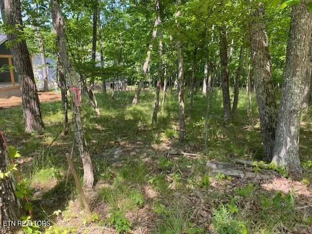 11 Rolling Green Circle Crossville TN 38558